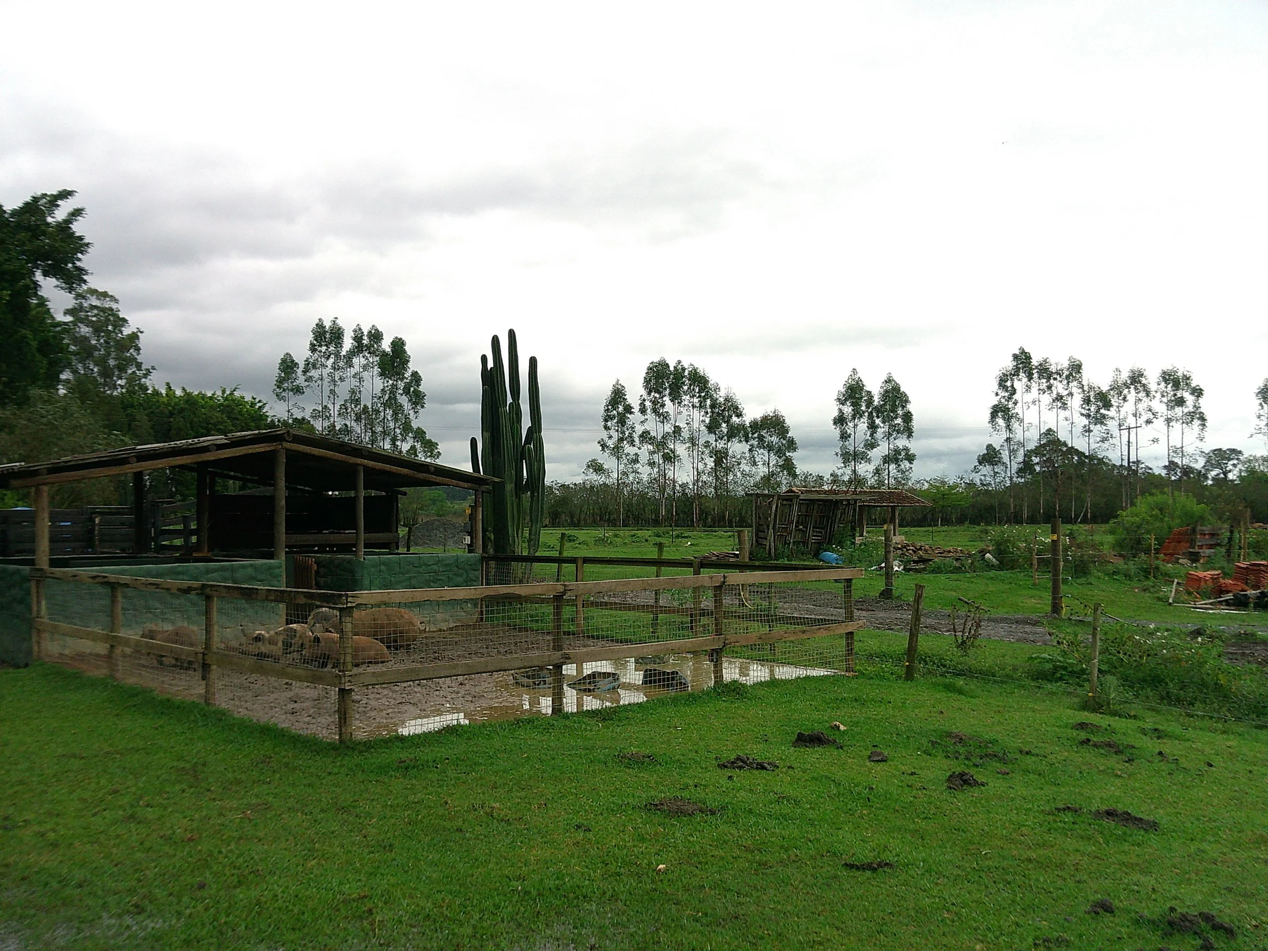 DSCF0164.JPG