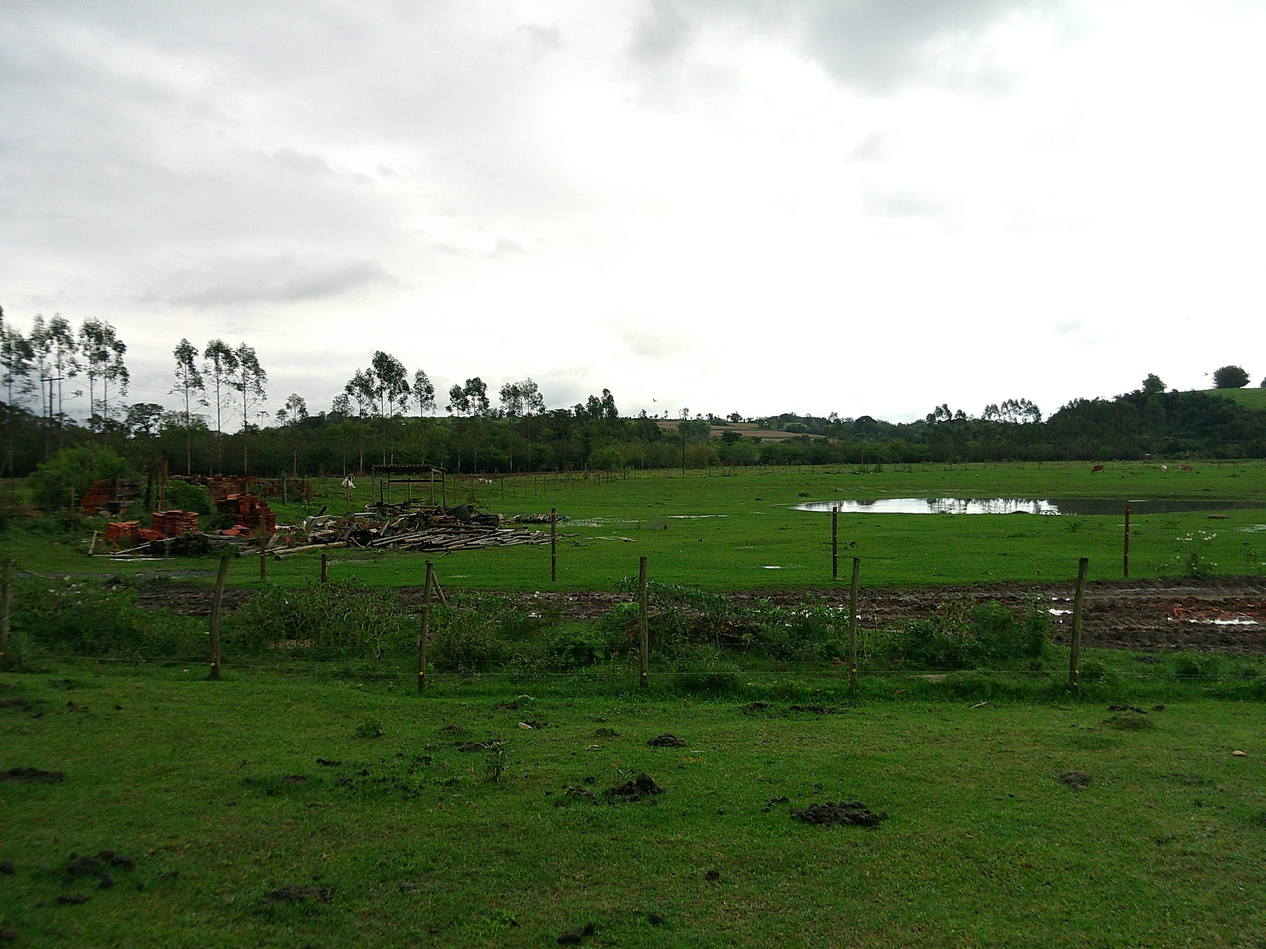 DSCF0165.JPG