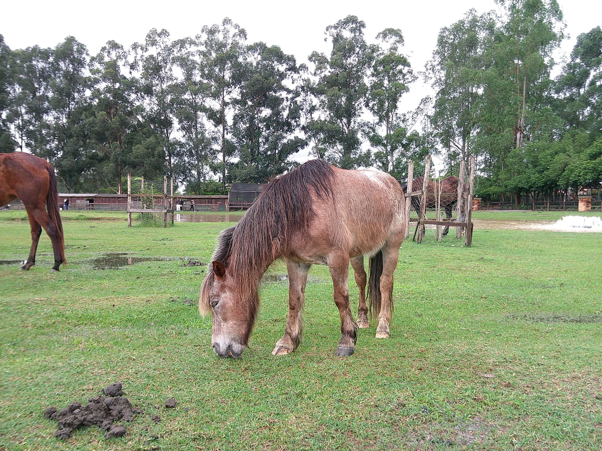 DSCF0166.JPG