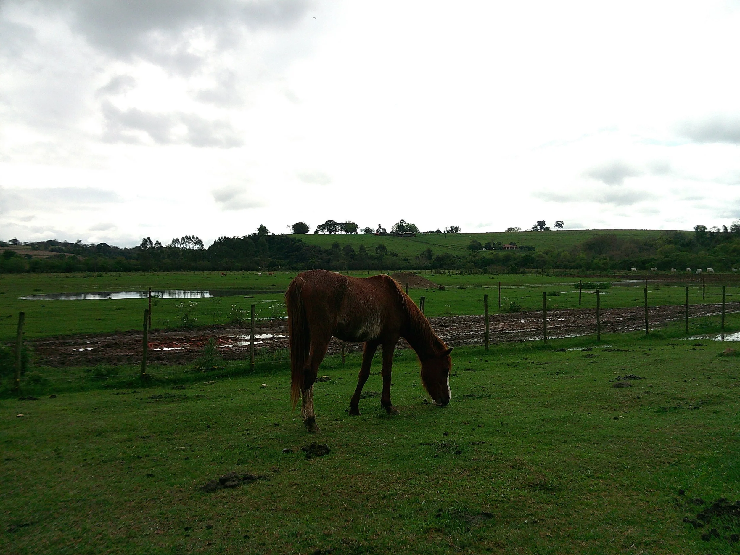 DSCF0167.JPG