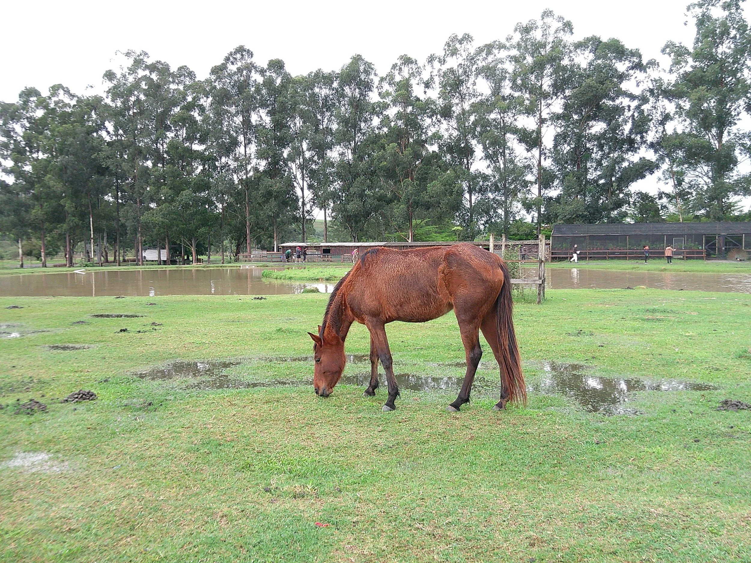 DSCF0168.JPG