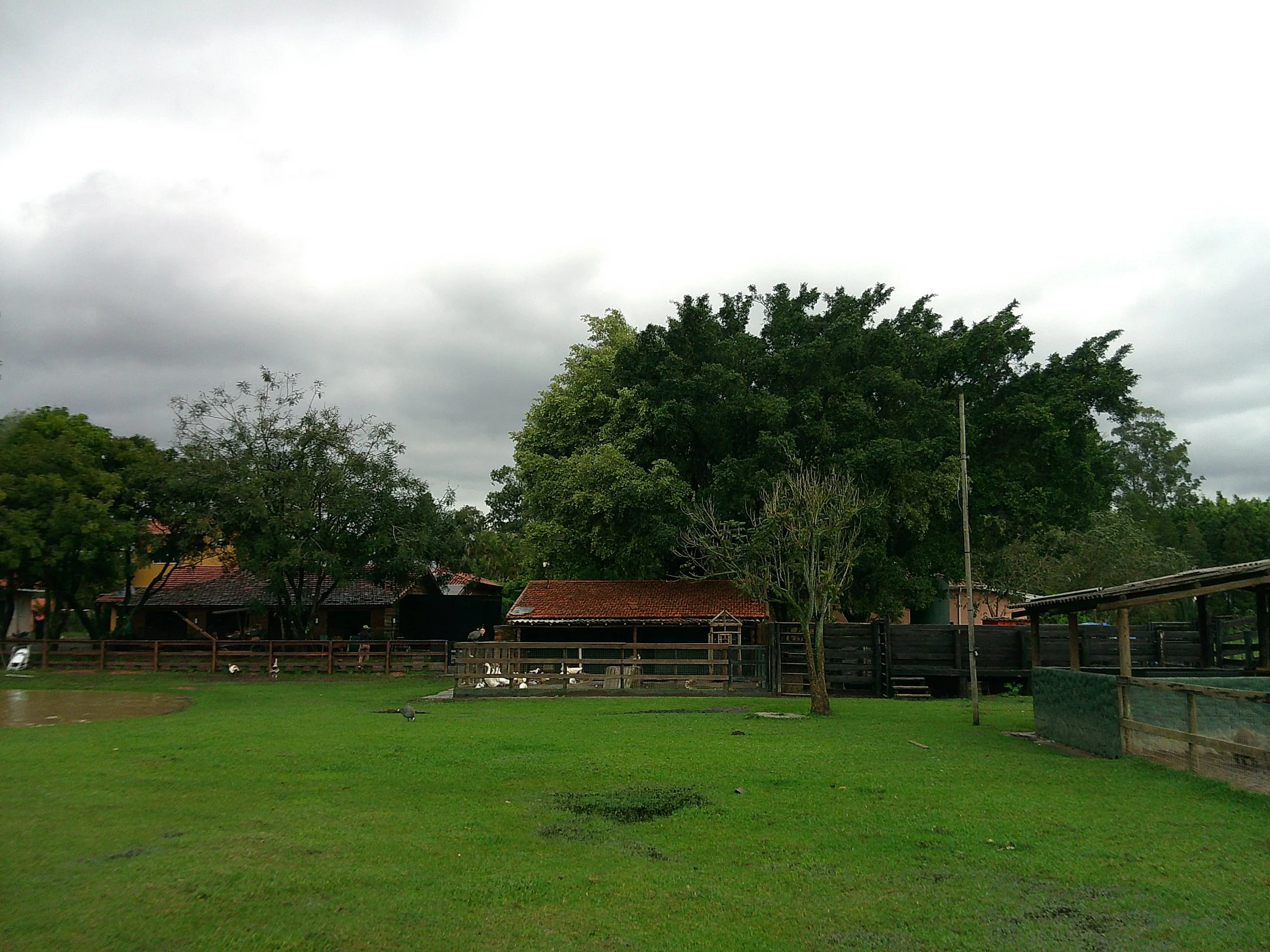 DSCF0170.JPG