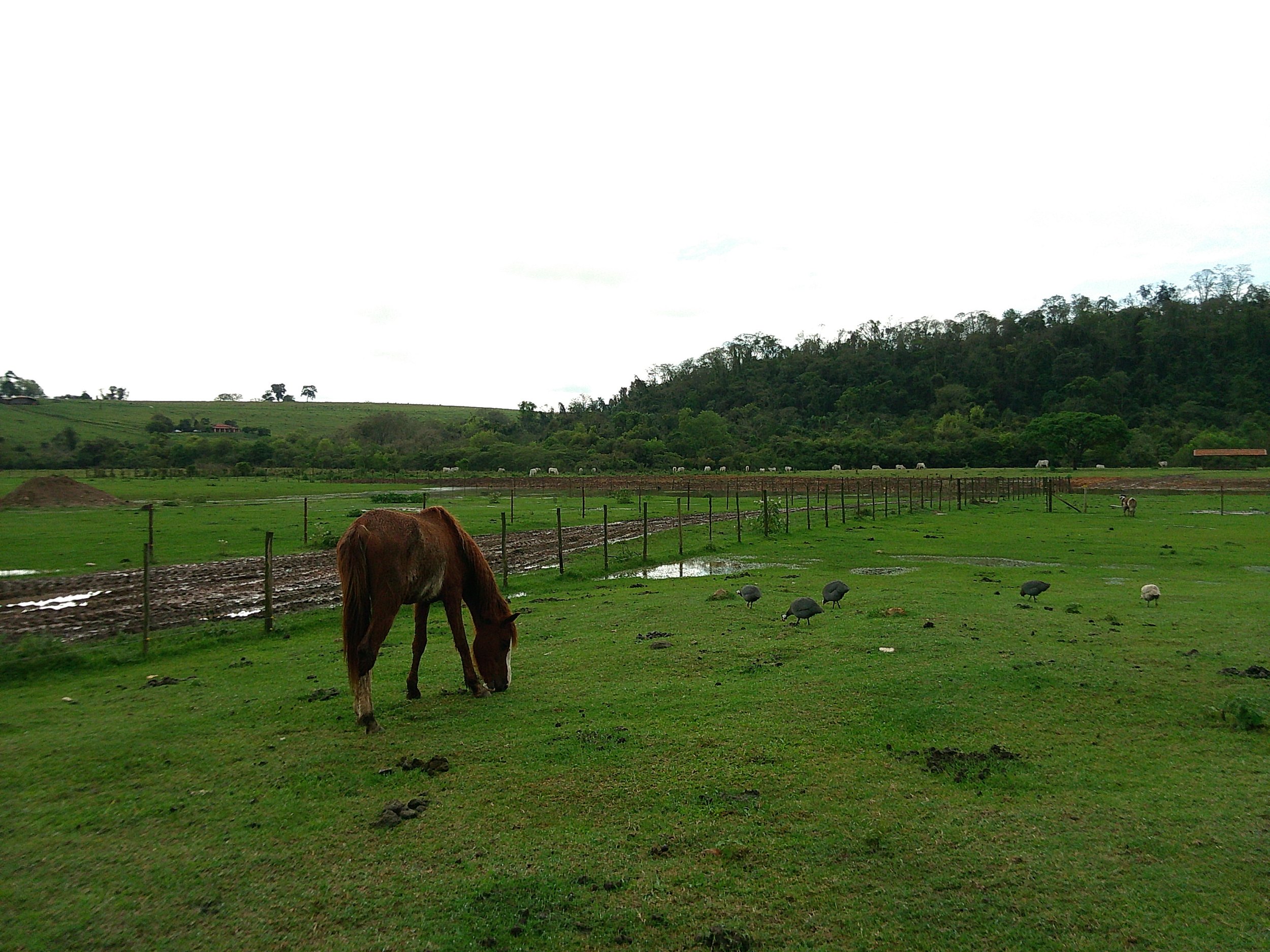 DSCF0171.JPG