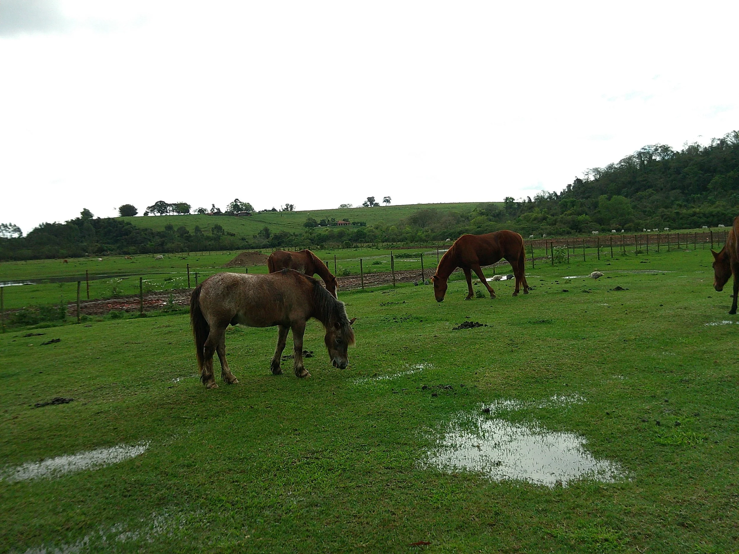 DSCF0173.JPG