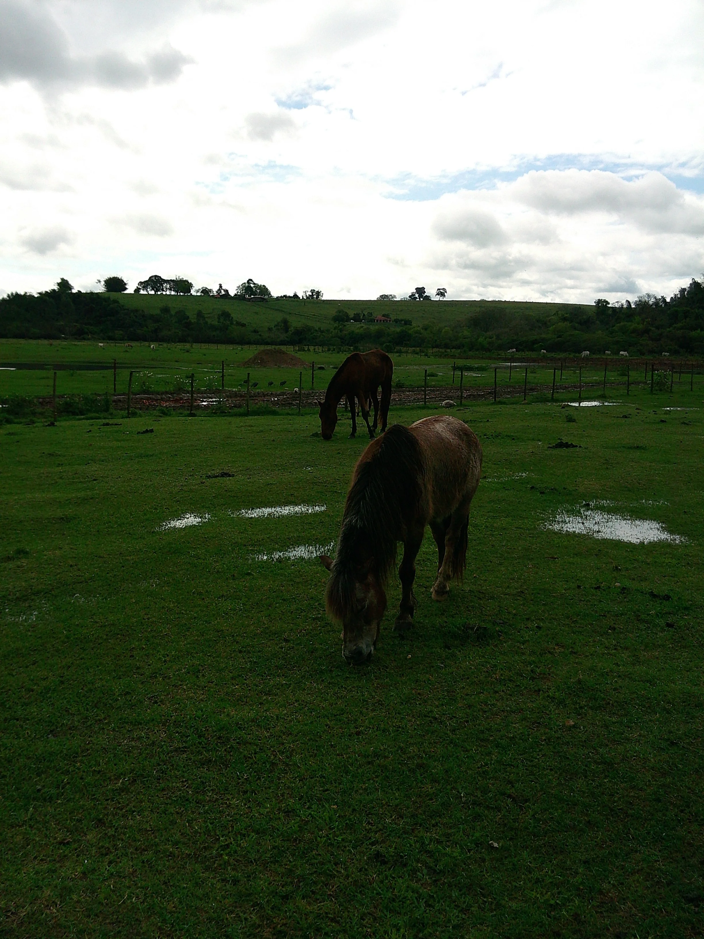 DSCF0176.JPG