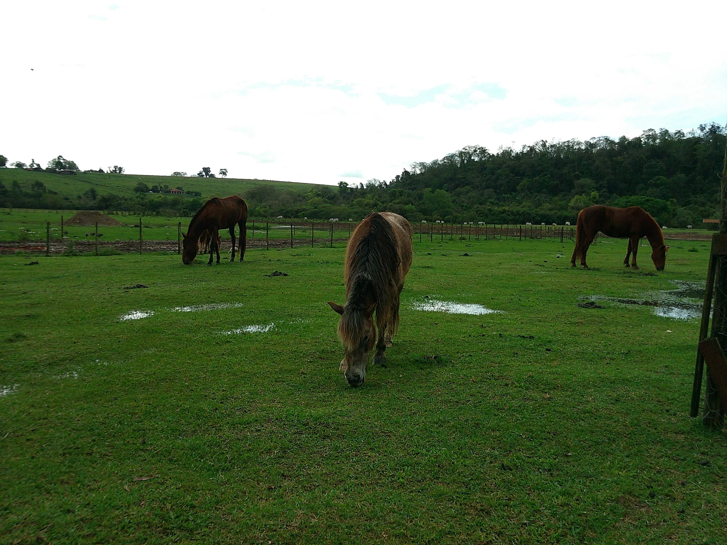 DSCF0177.JPG