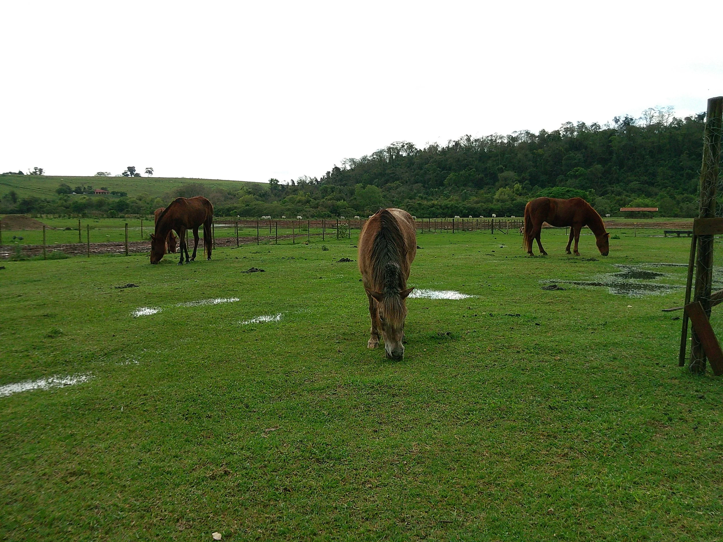 DSCF0178.JPG