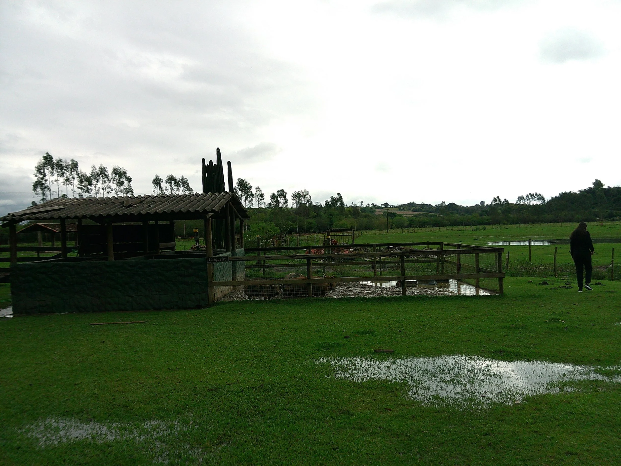 DSCF0179.JPG