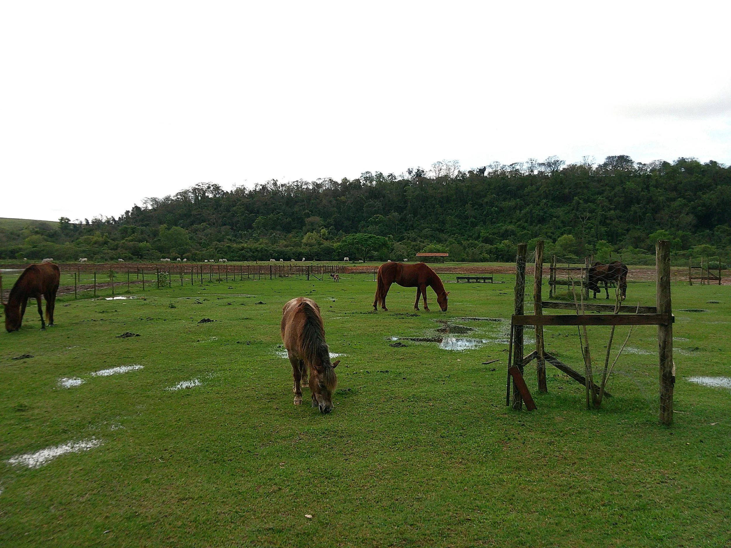 DSCF0180.JPG