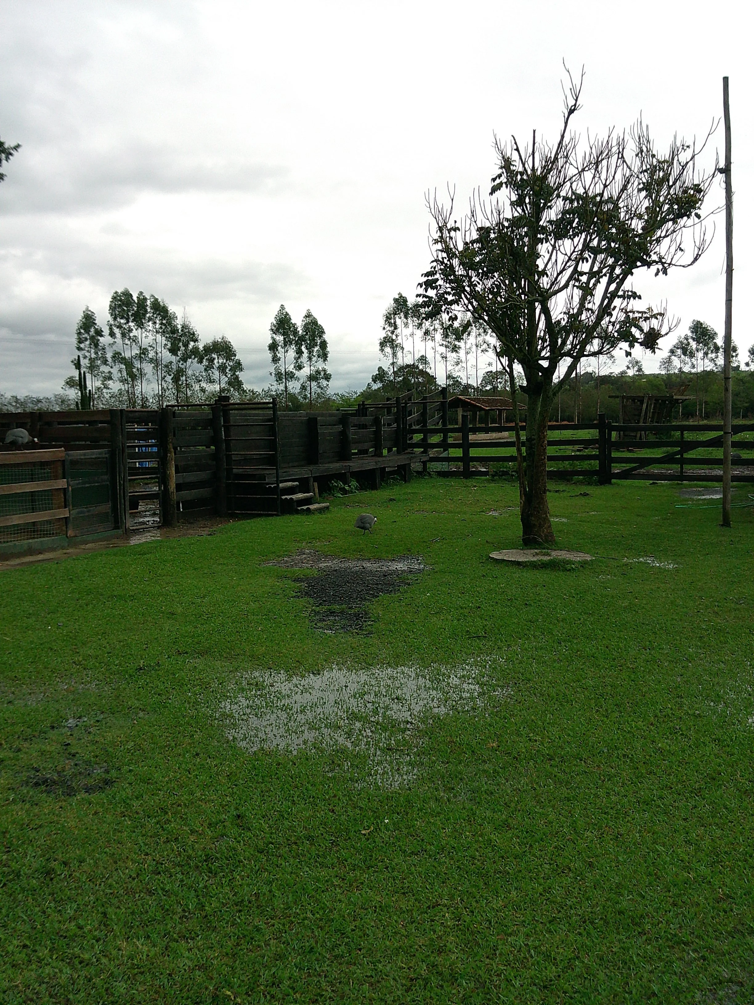 DSCF0181.JPG