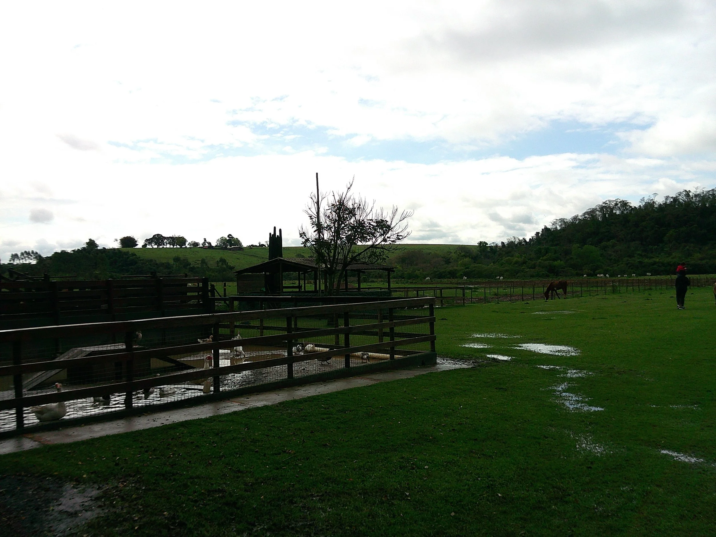 DSCF0187.JPG