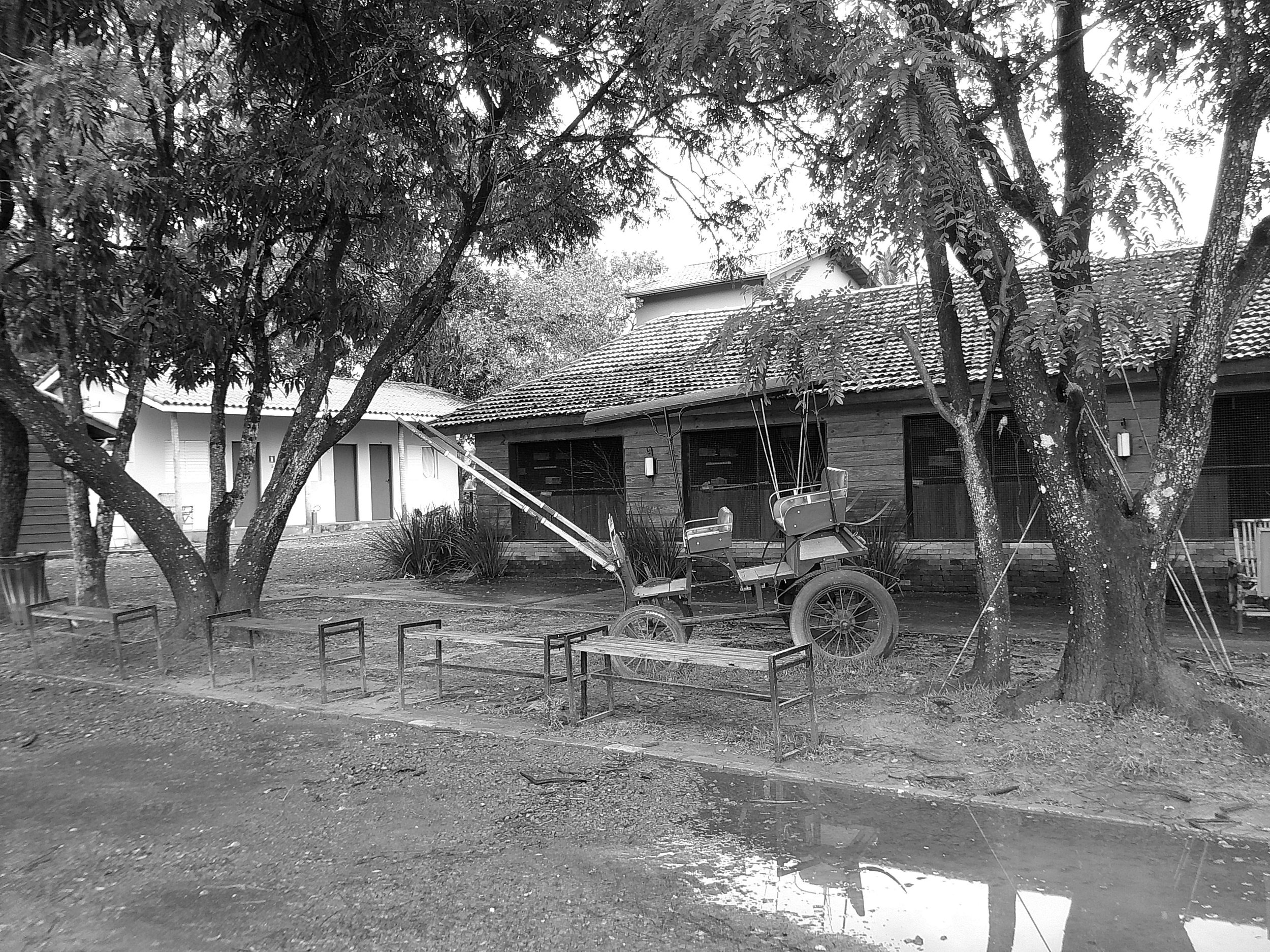 DSCF0188.JPG