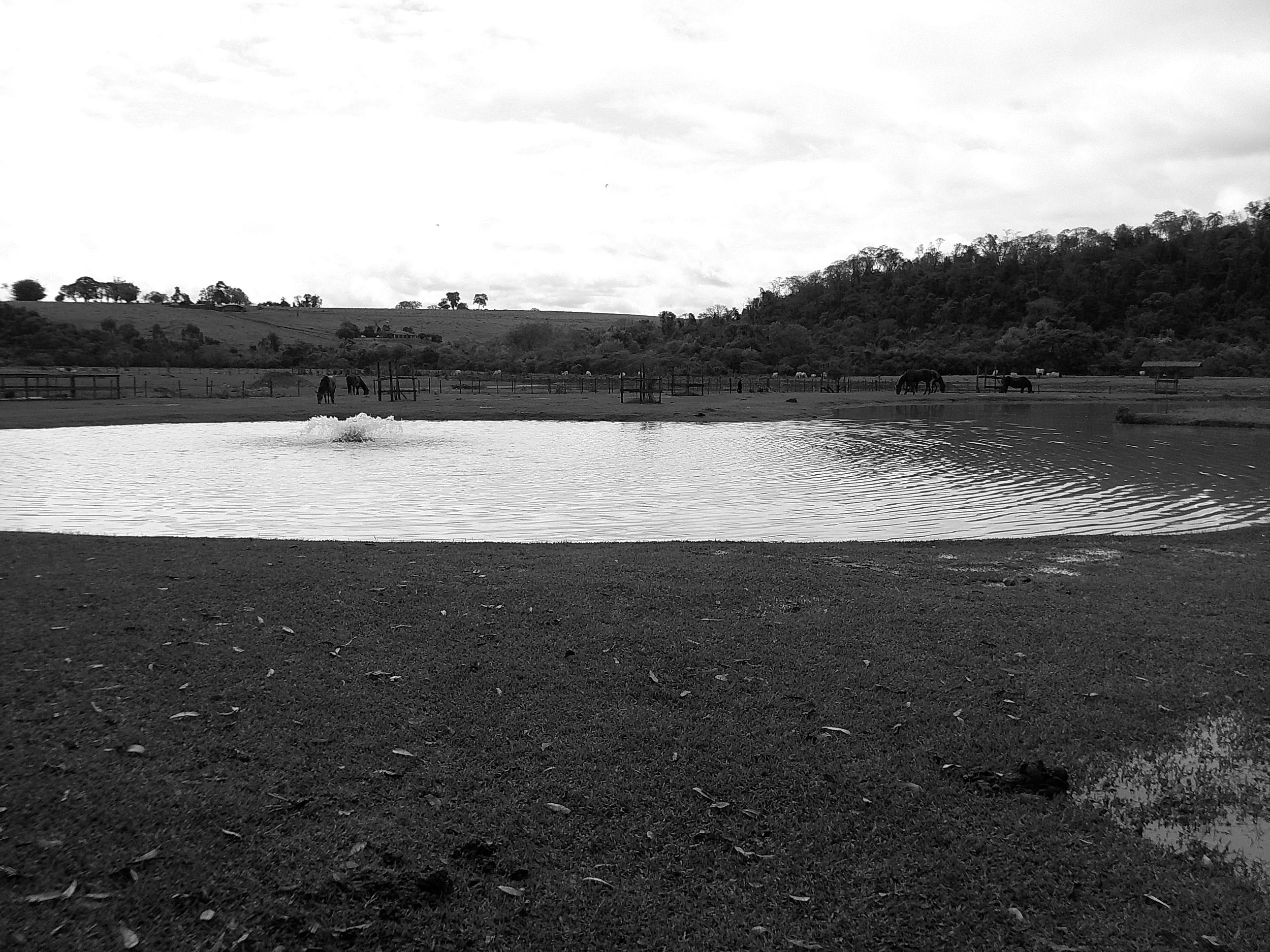 DSCF0191.JPG