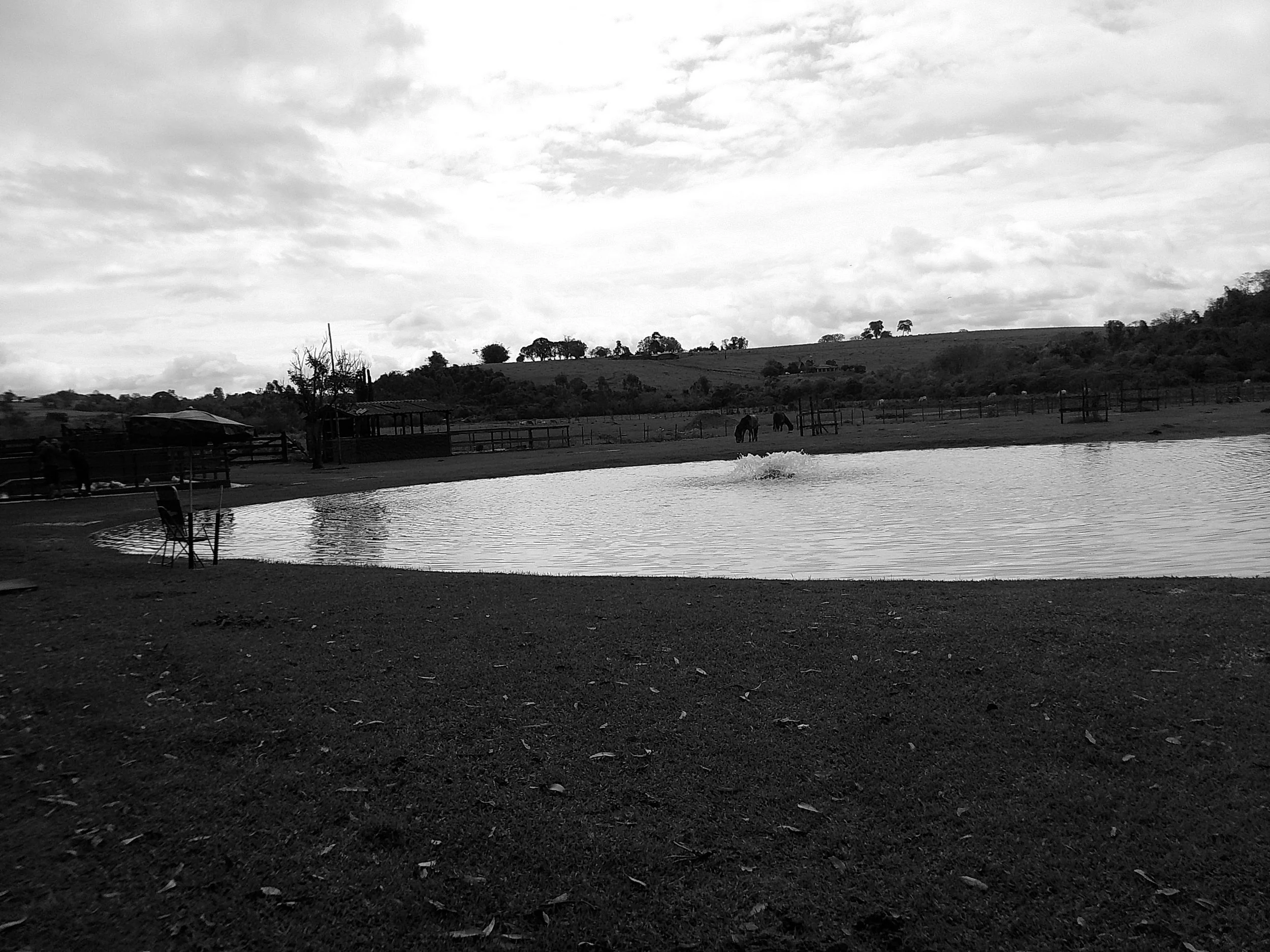 DSCF0192.JPG