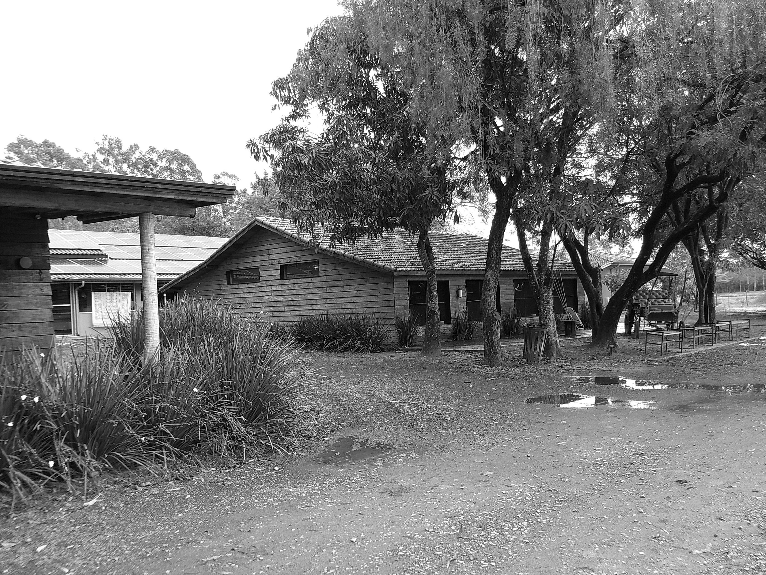 DSCF0193.JPG