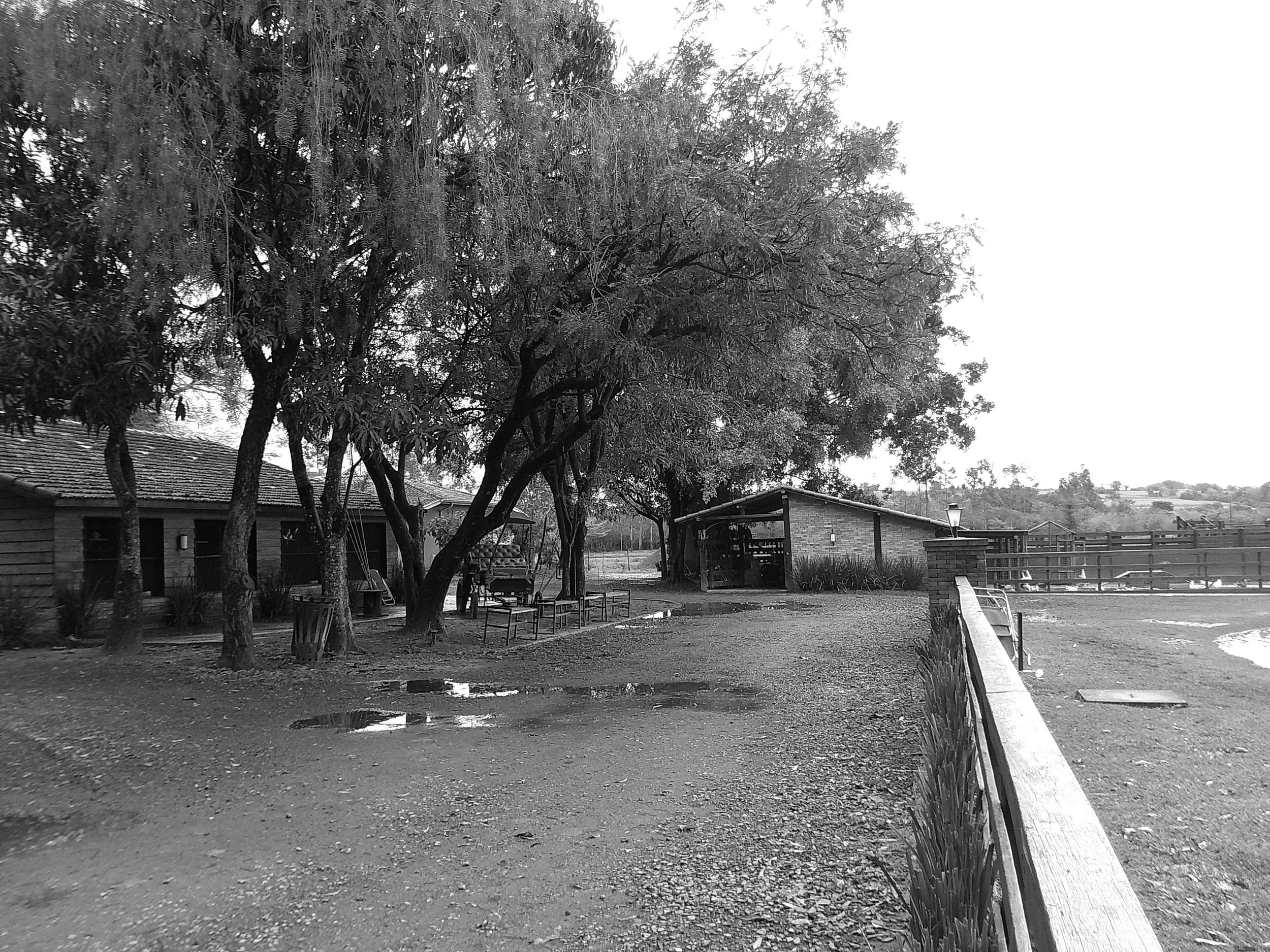 DSCF0194.JPG