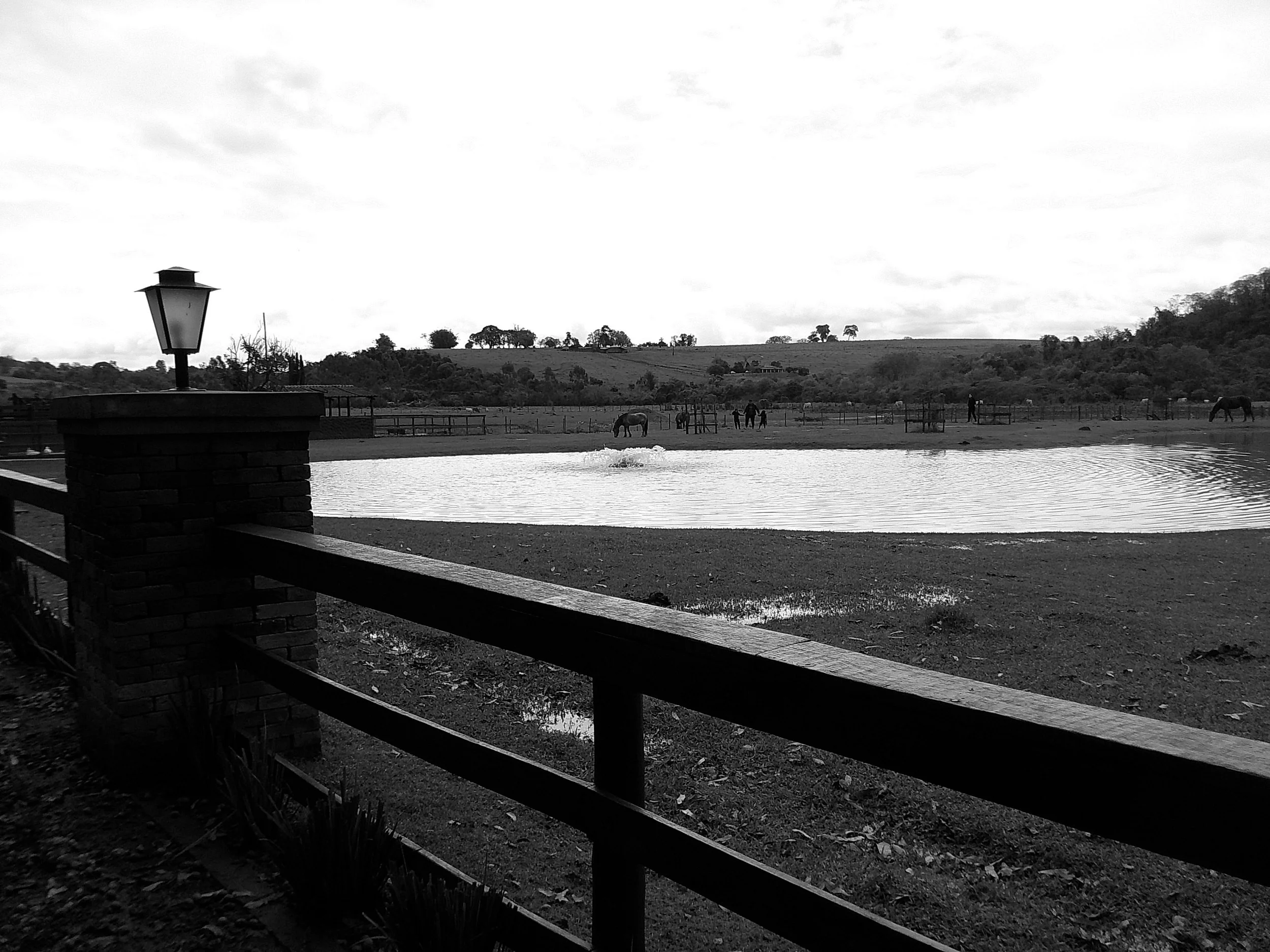 DSCF0195.JPG