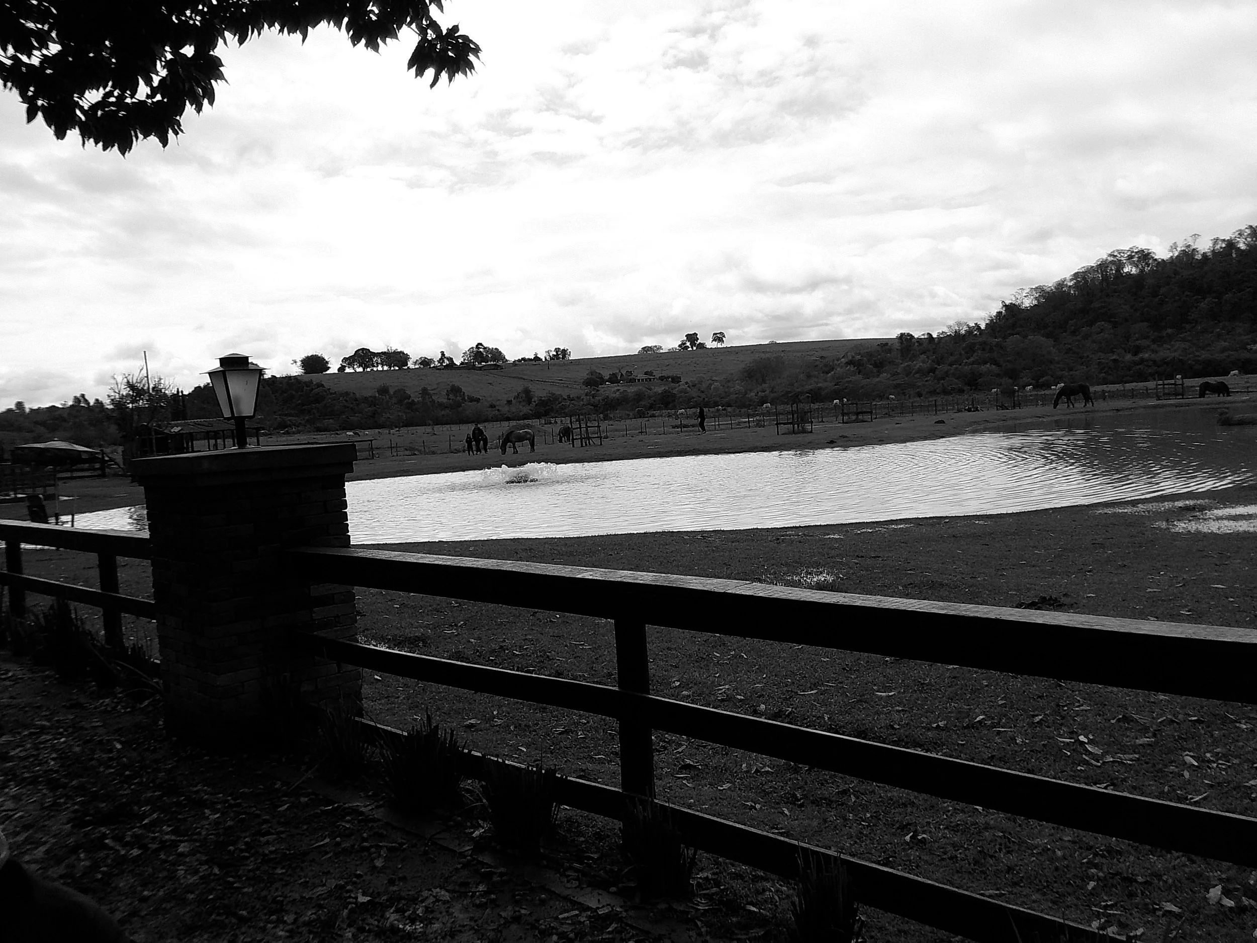 DSCF0196.JPG