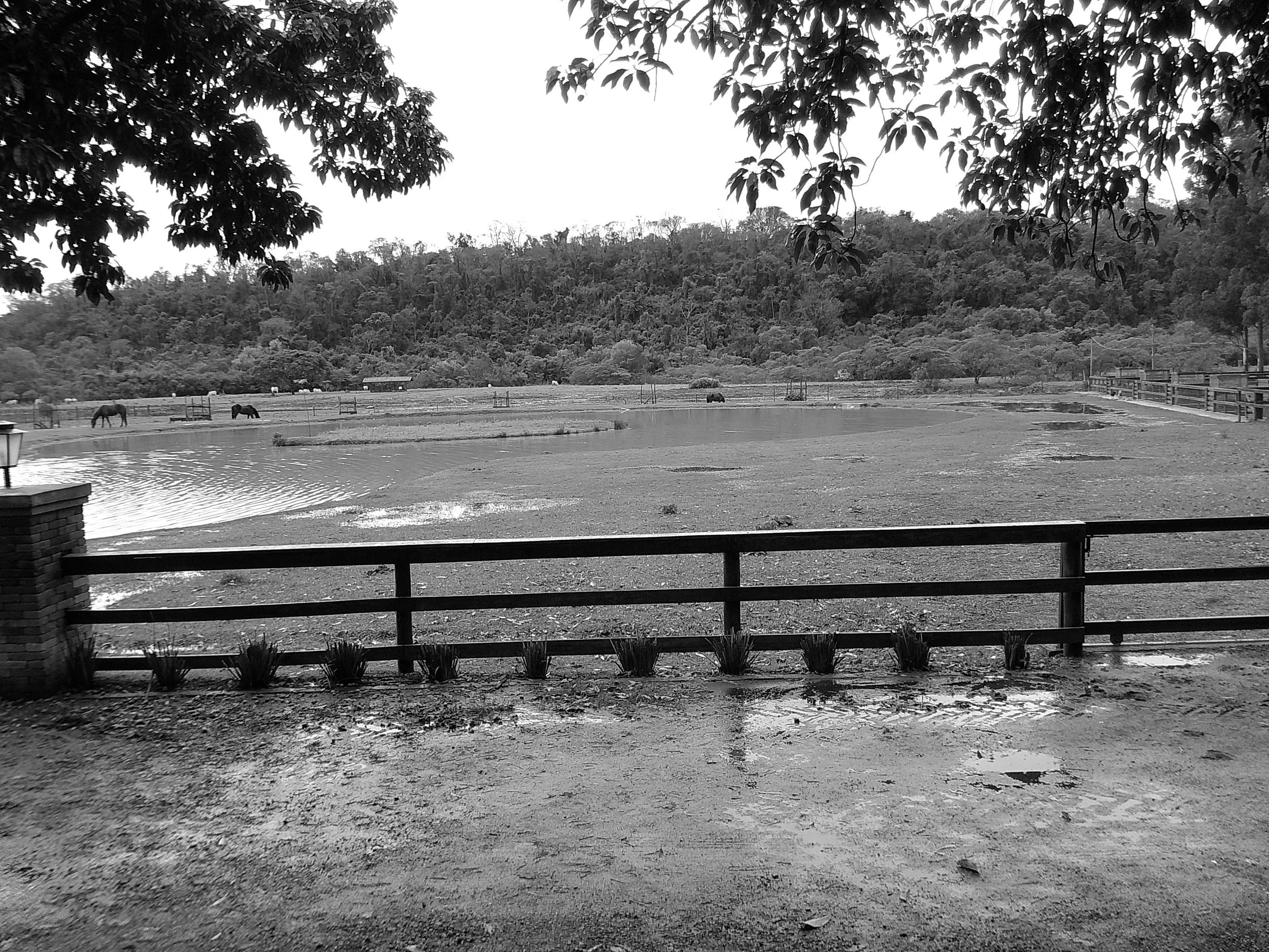 DSCF0198.JPG