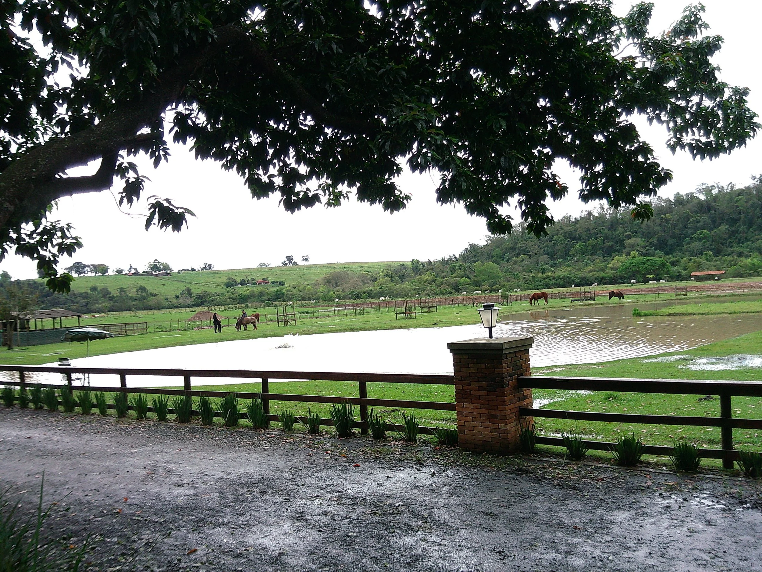 DSCF0199.JPG