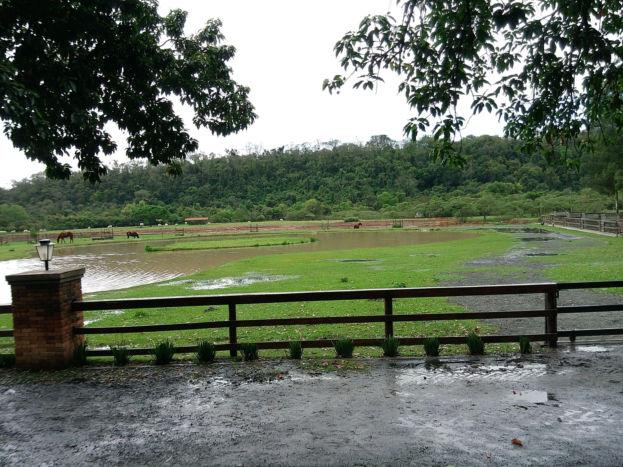 DSCF0200.JPG