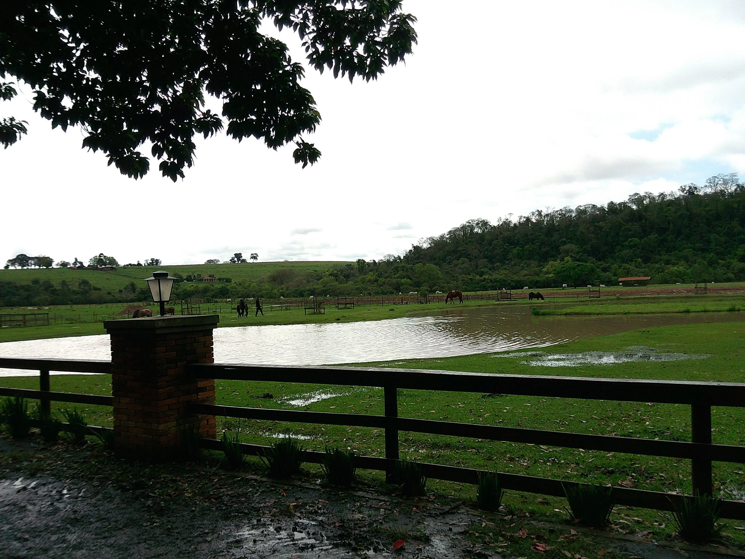 DSCF0202.JPG