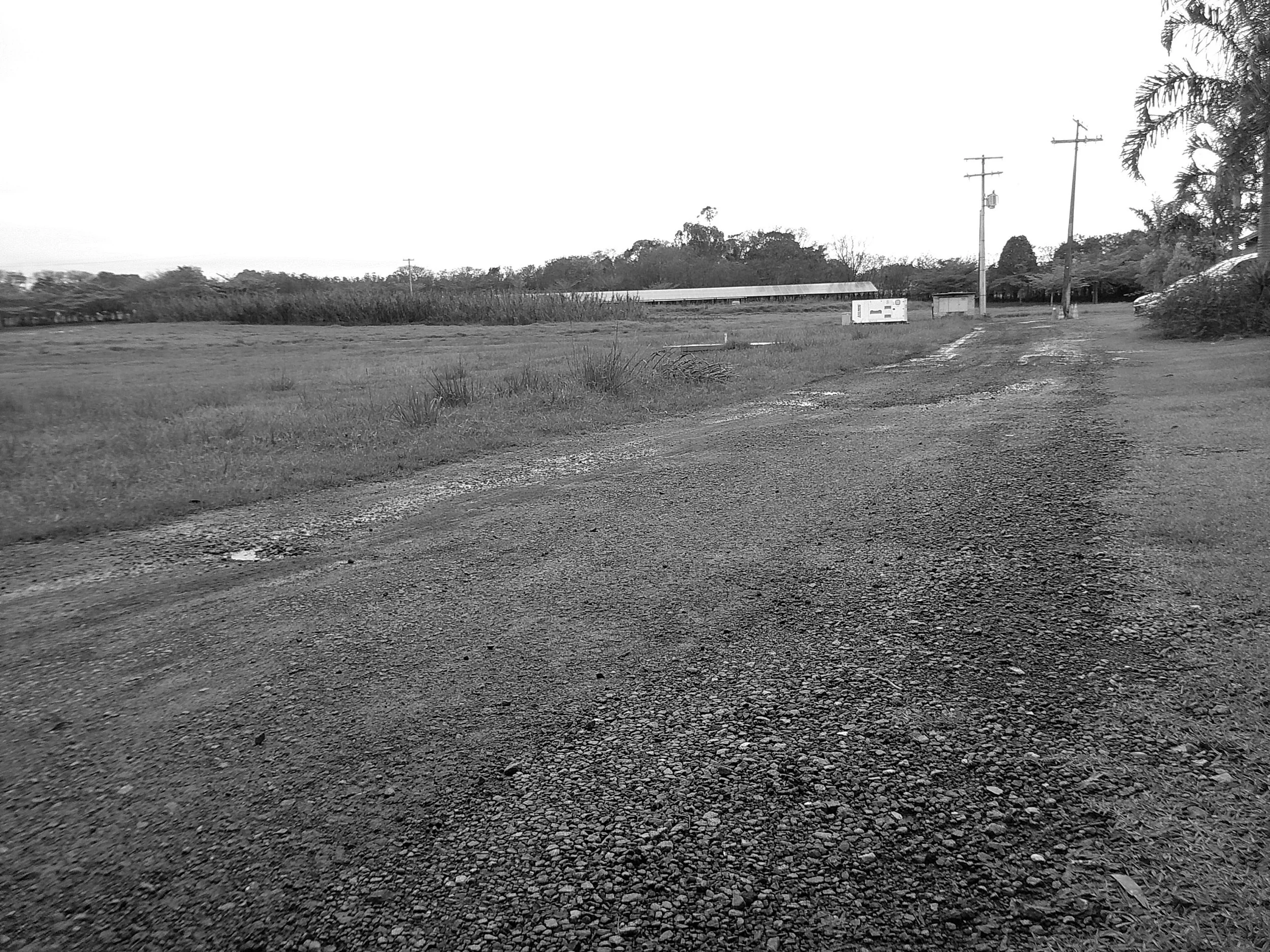 DSCF0205.JPG