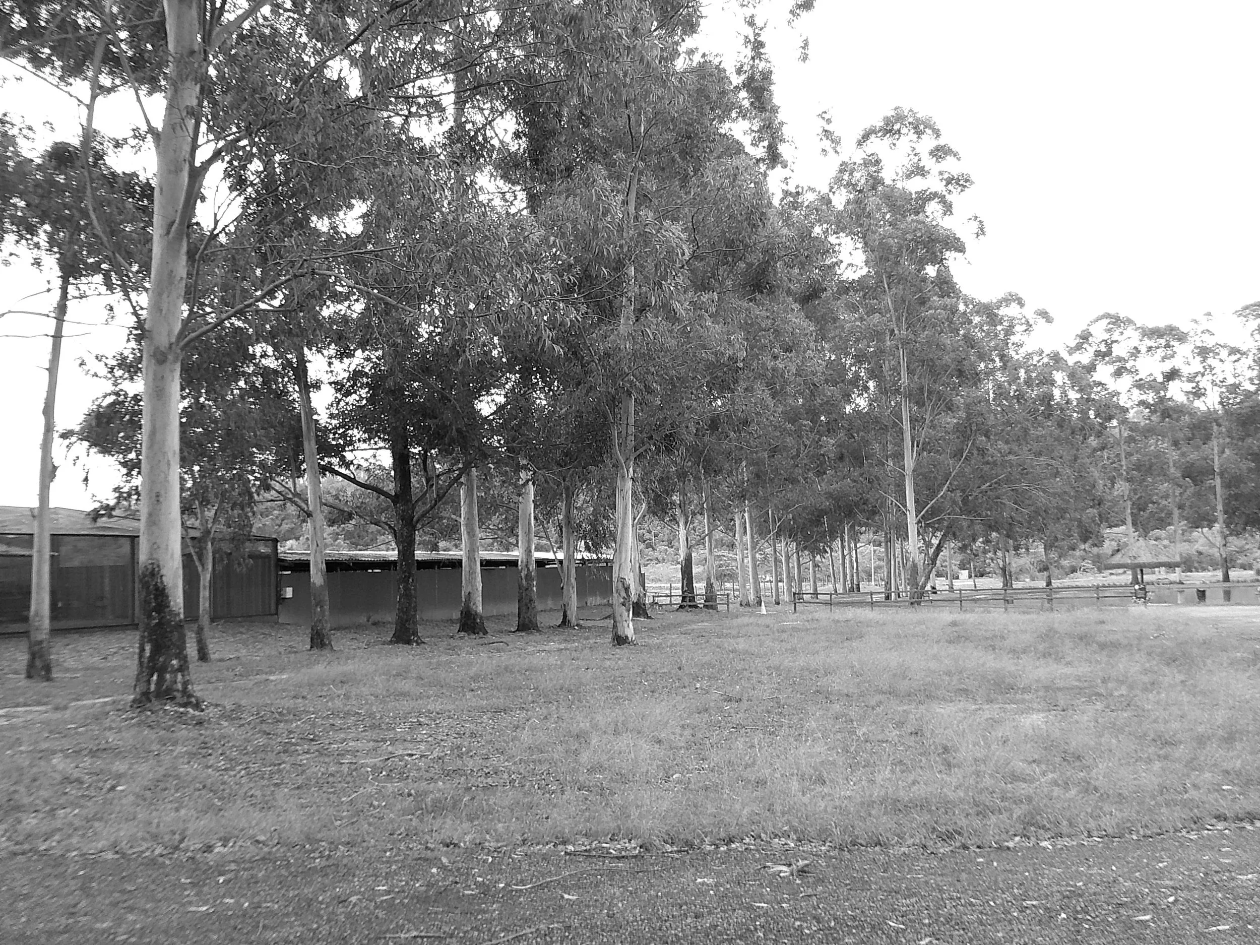 DSCF0208.JPG