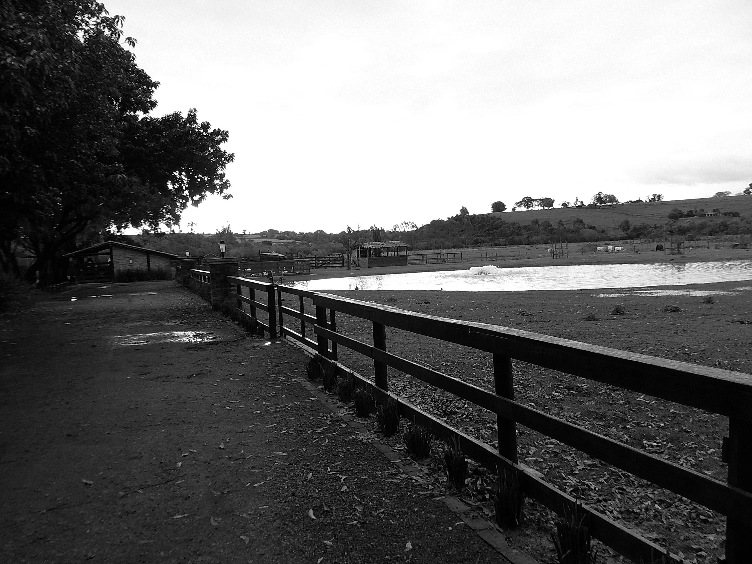 DSCF0209.JPG