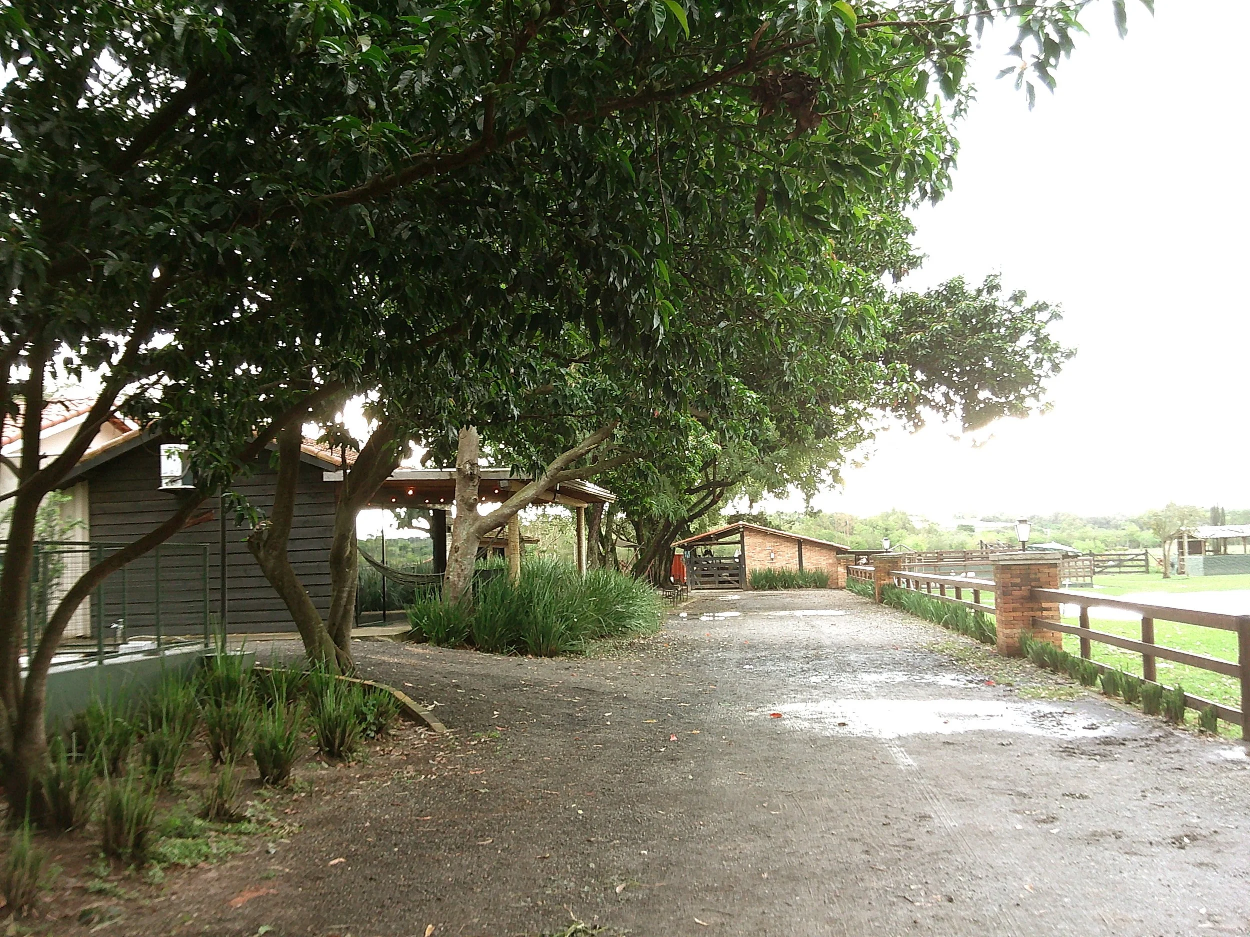 DSCF0210.JPG