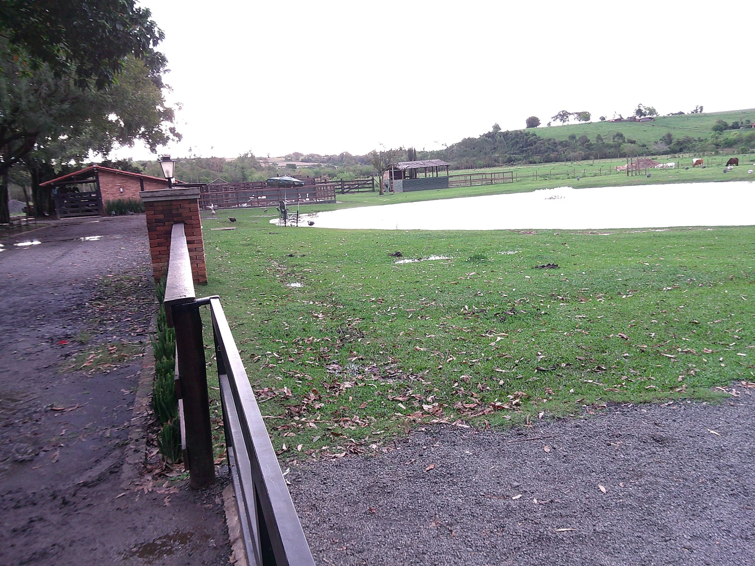 DSCF0213.JPG