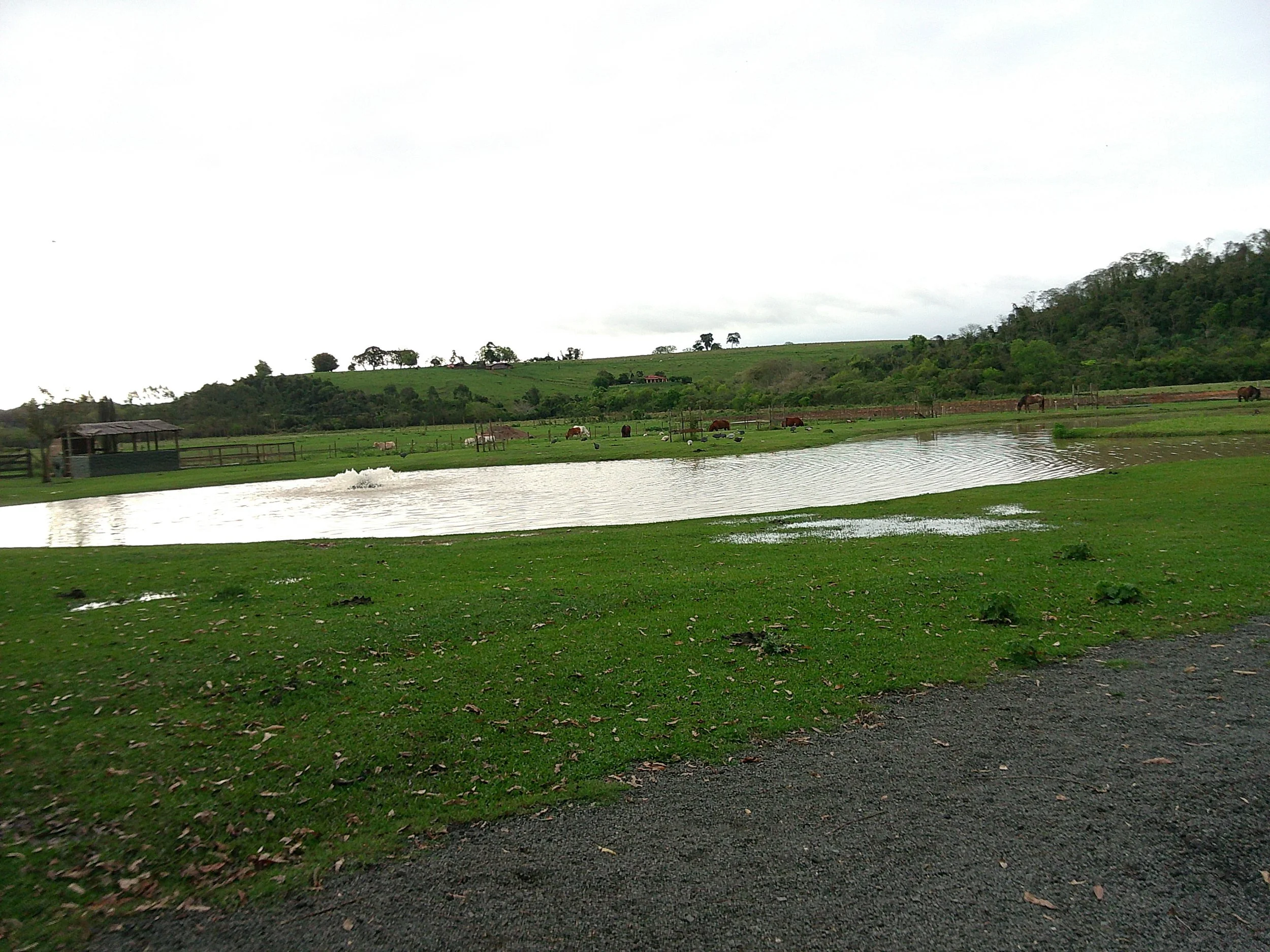 DSCF0214.JPG