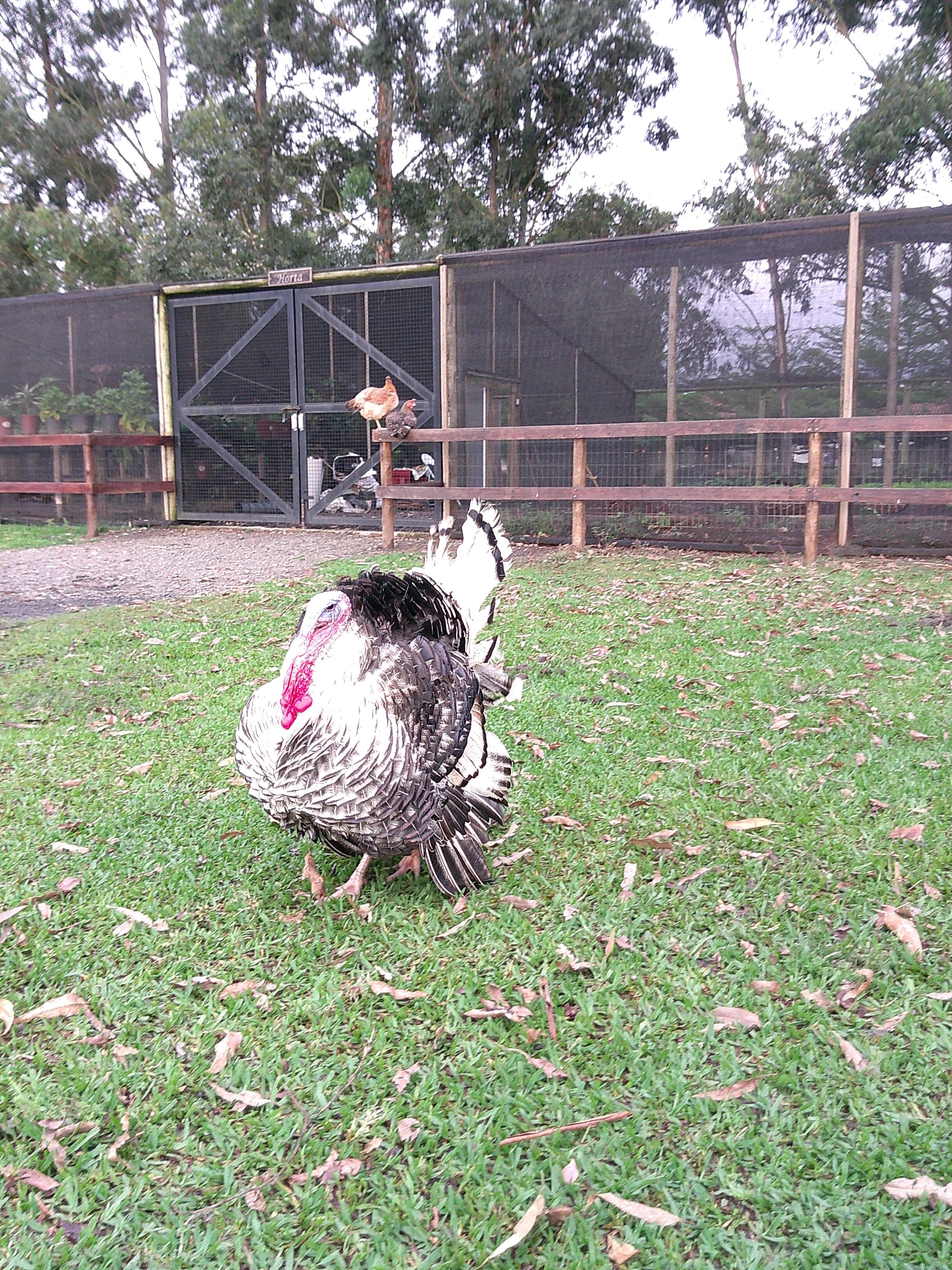 DSCF0216.JPG
