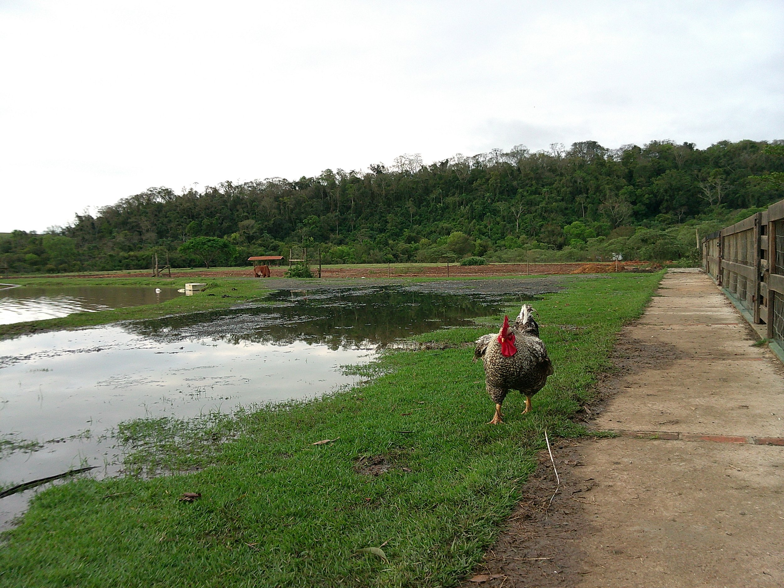 DSCF0226.JPG