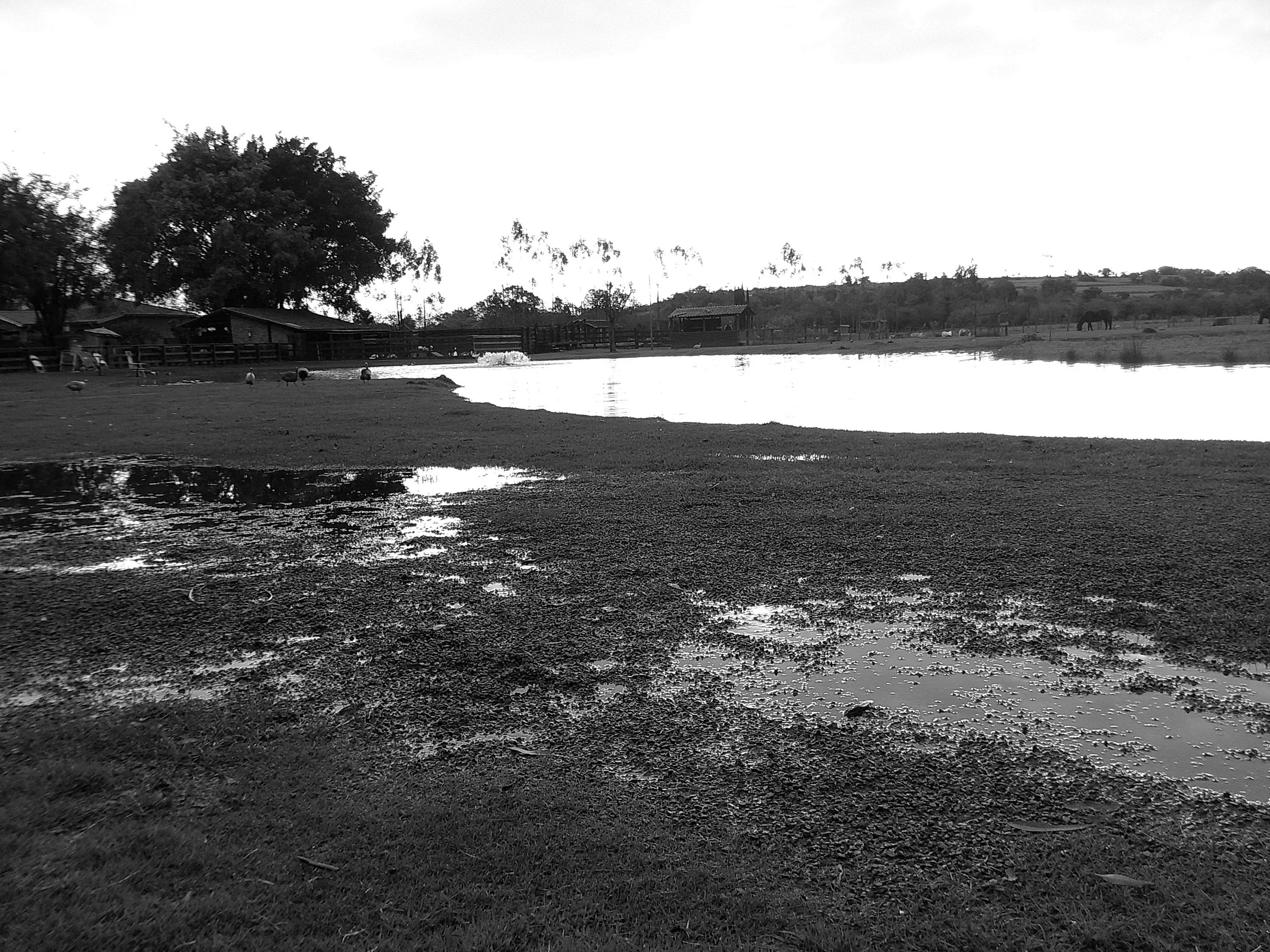 DSCF0230.JPG