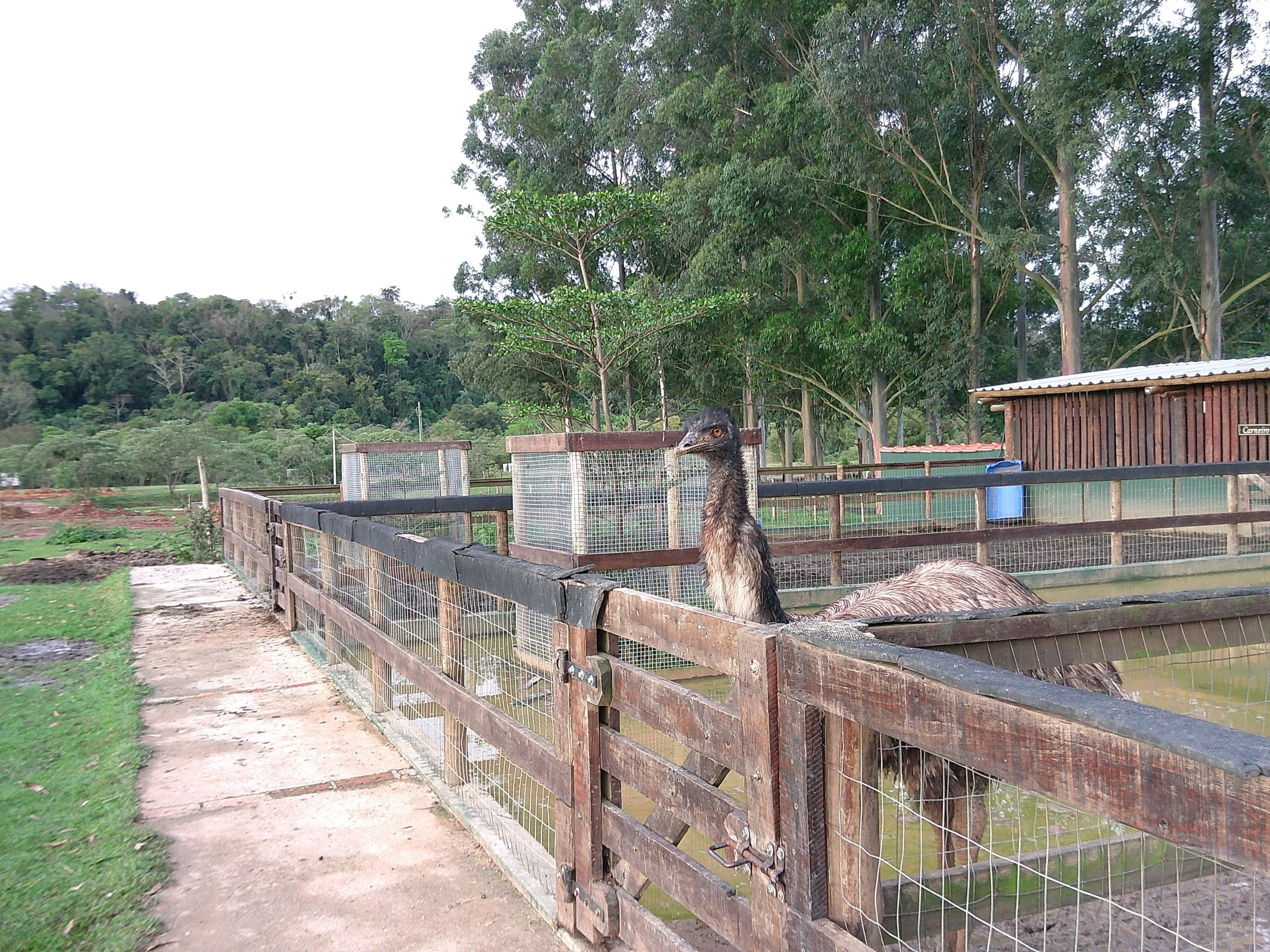 DSCF0233.JPG