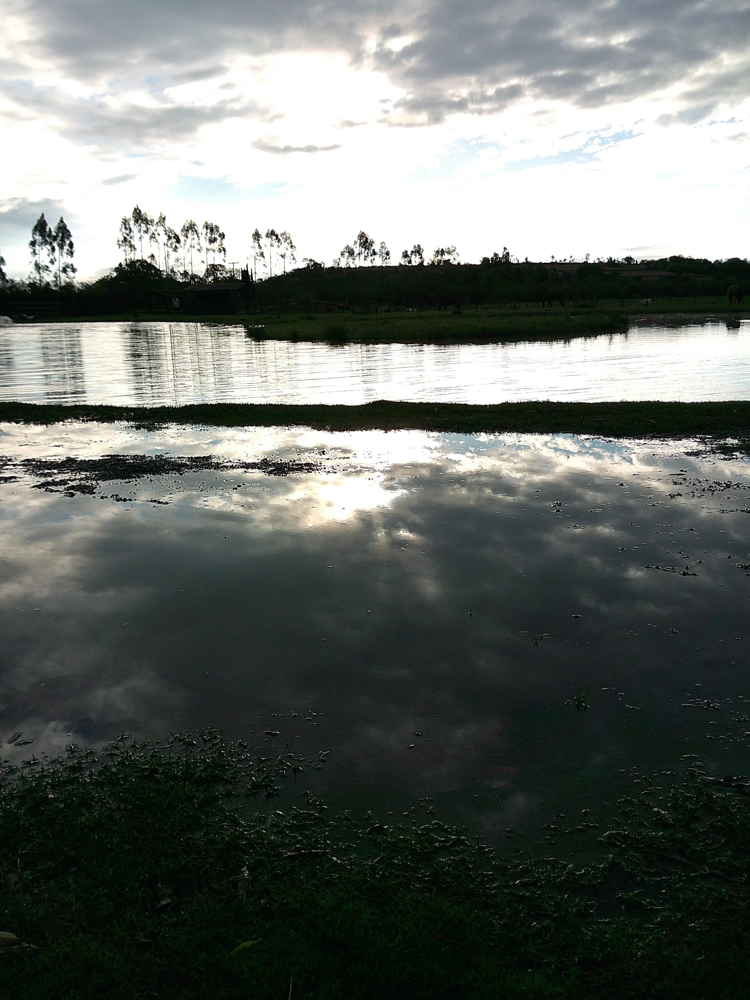 DSCF0235.JPG