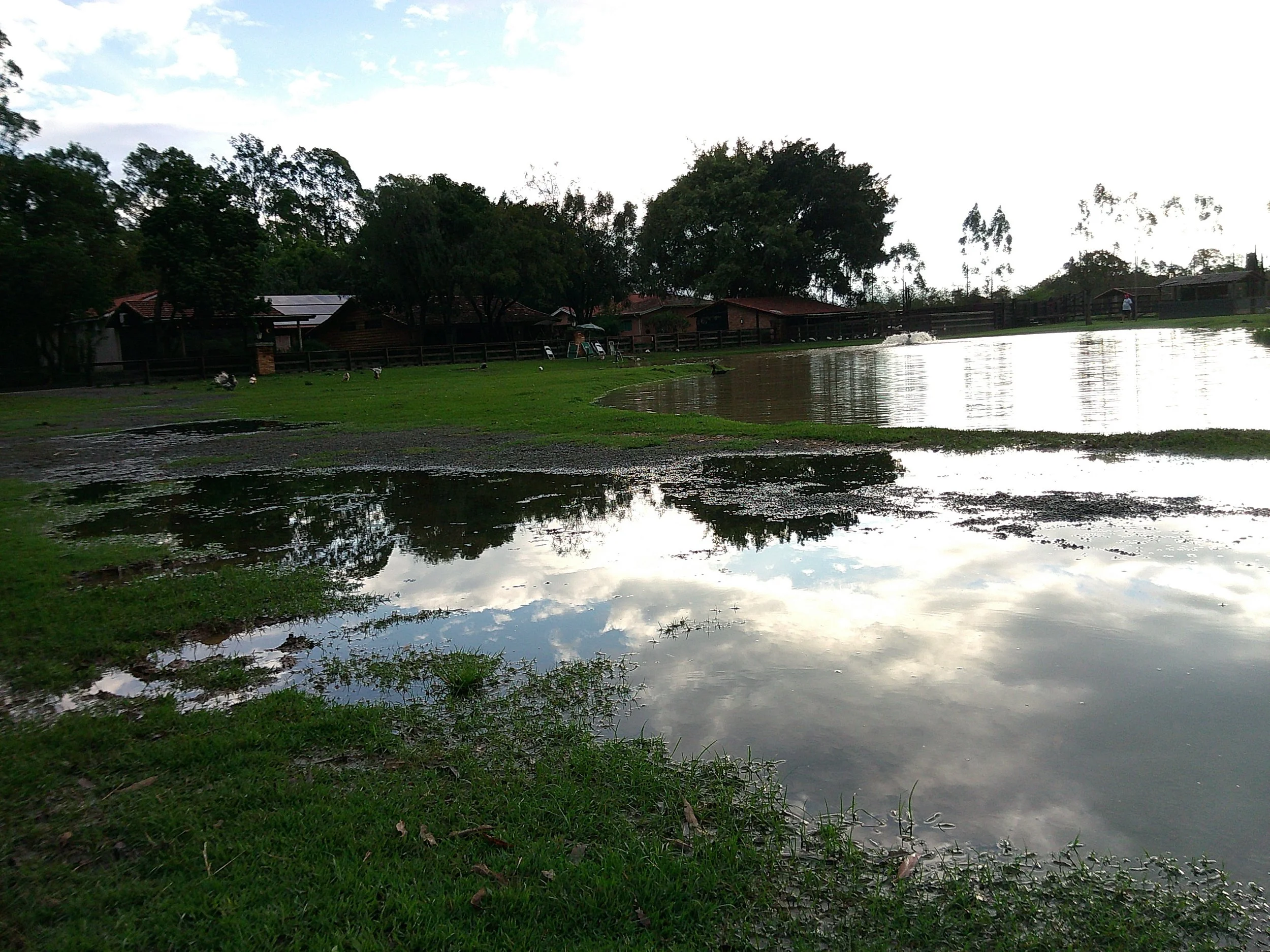 DSCF0236.JPG