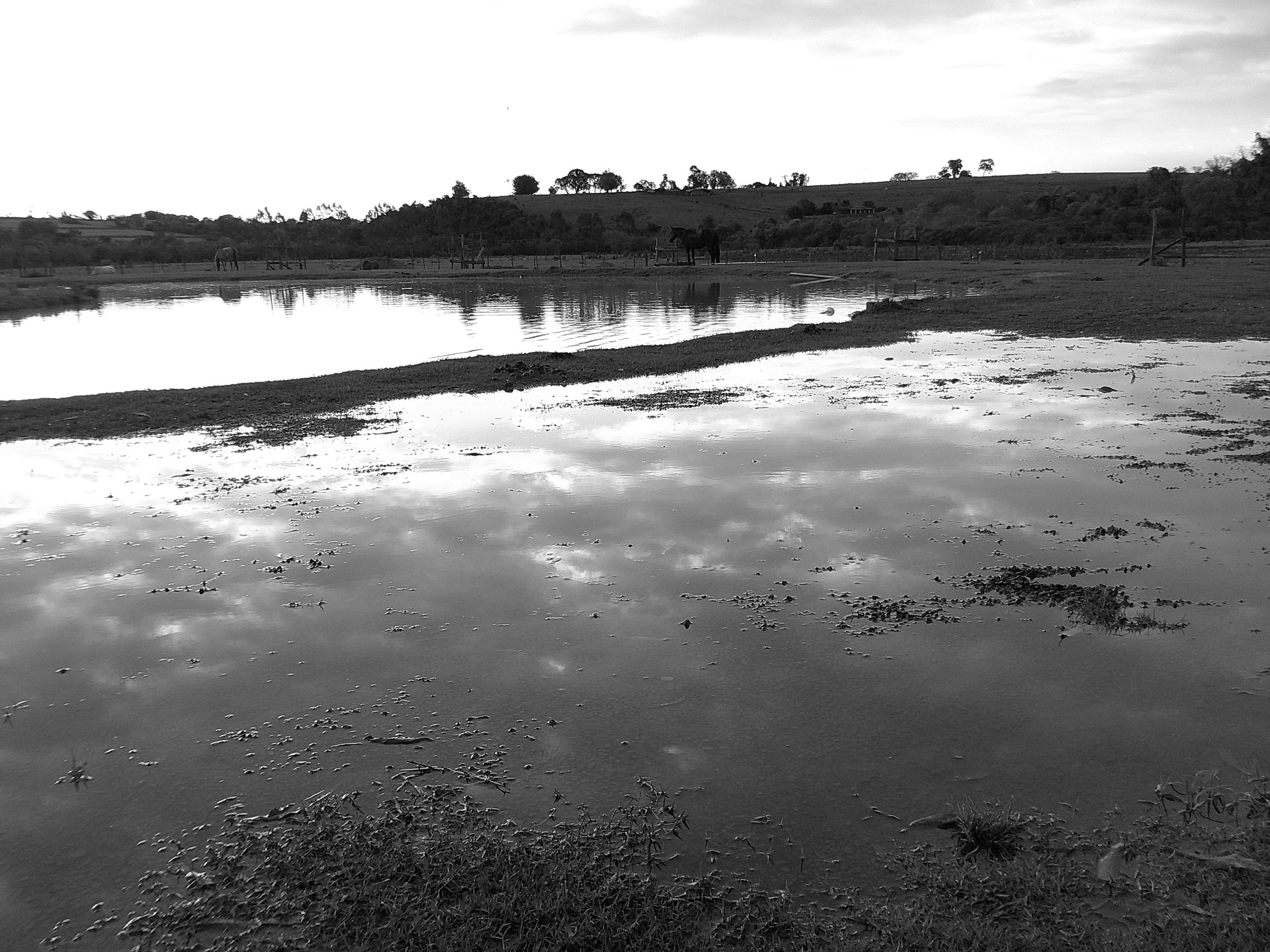 DSCF0238.JPG