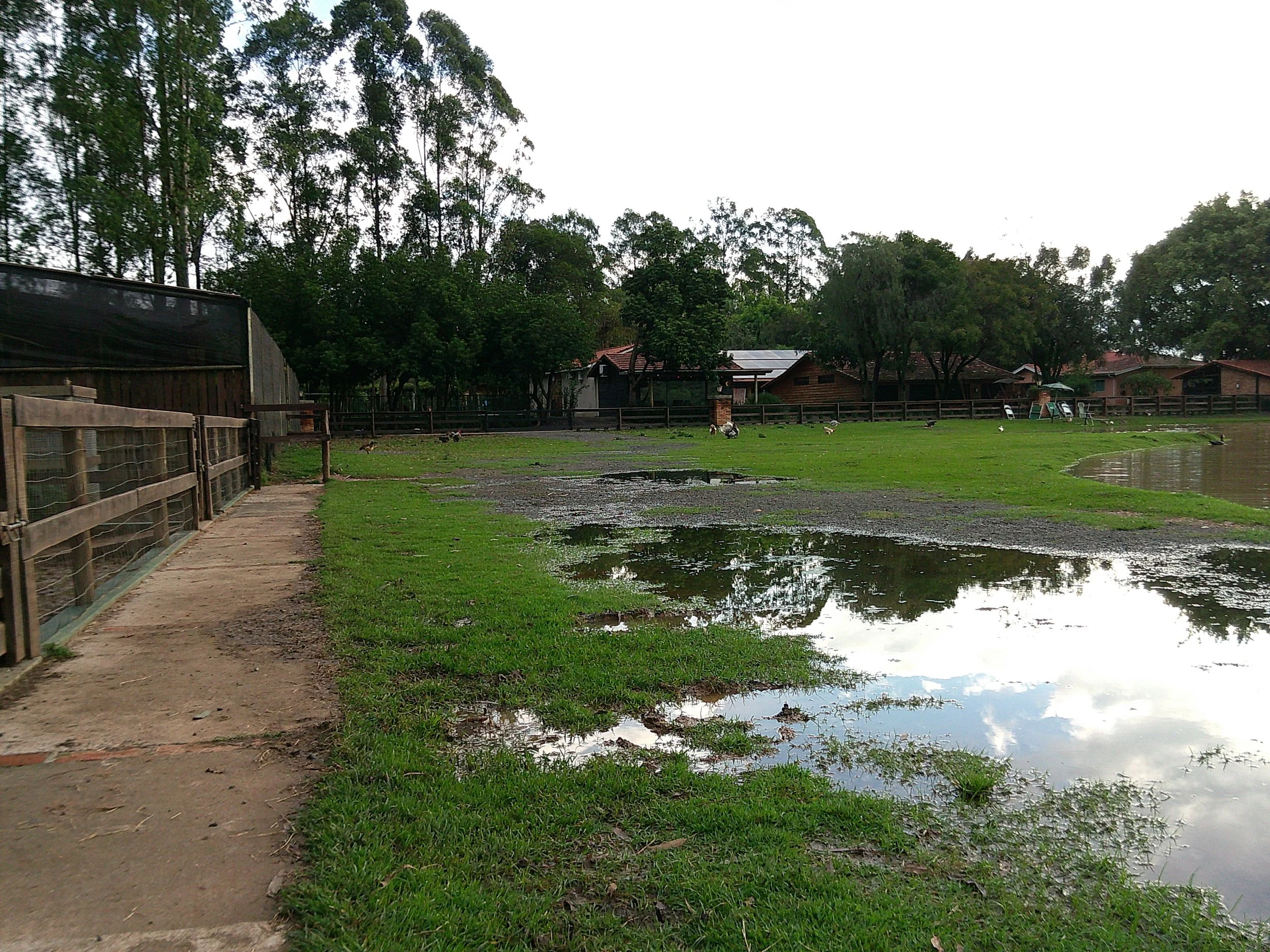 DSCF0237.JPG