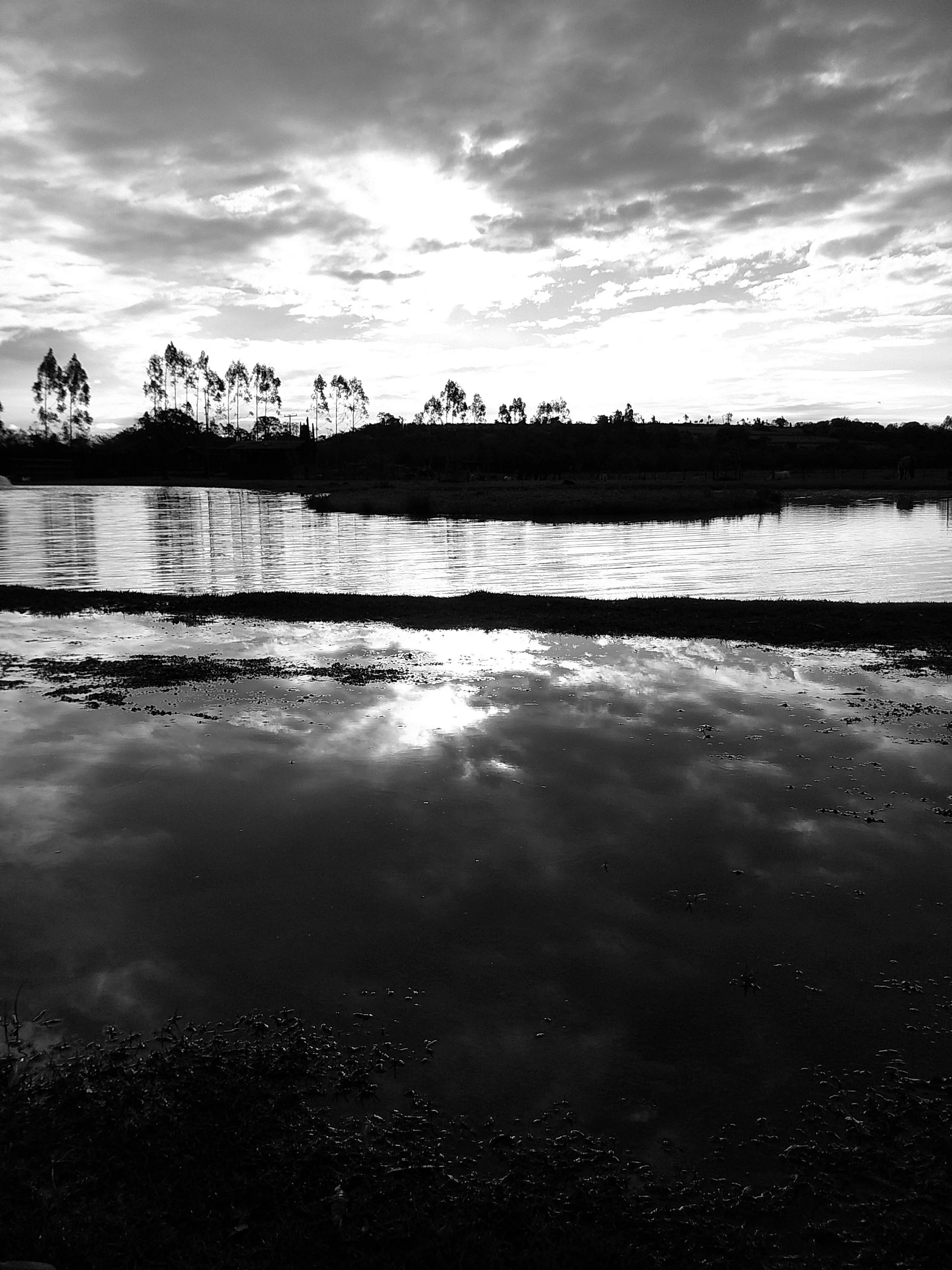 DSCF0239.JPG