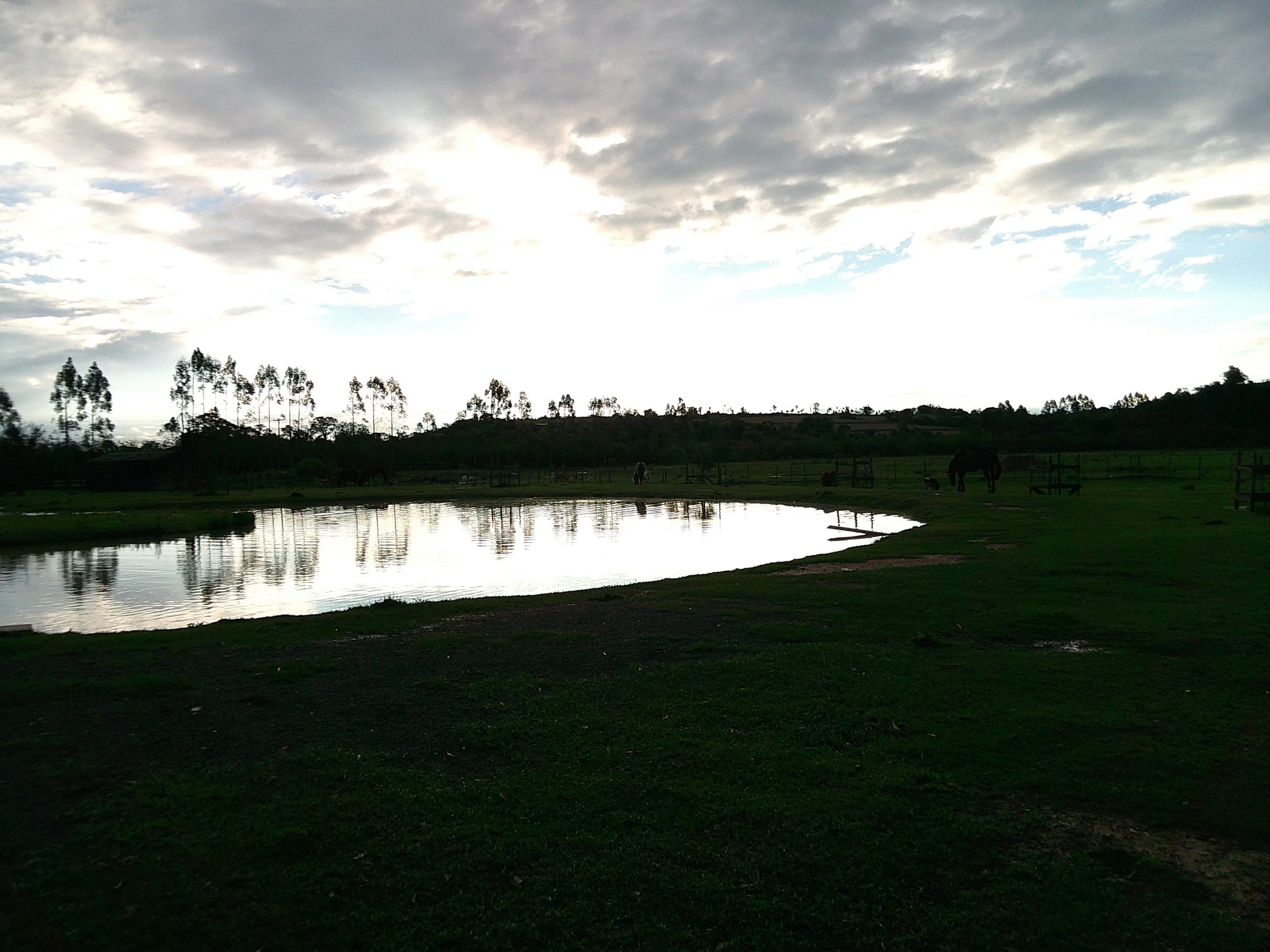 DSCF0241.JPG