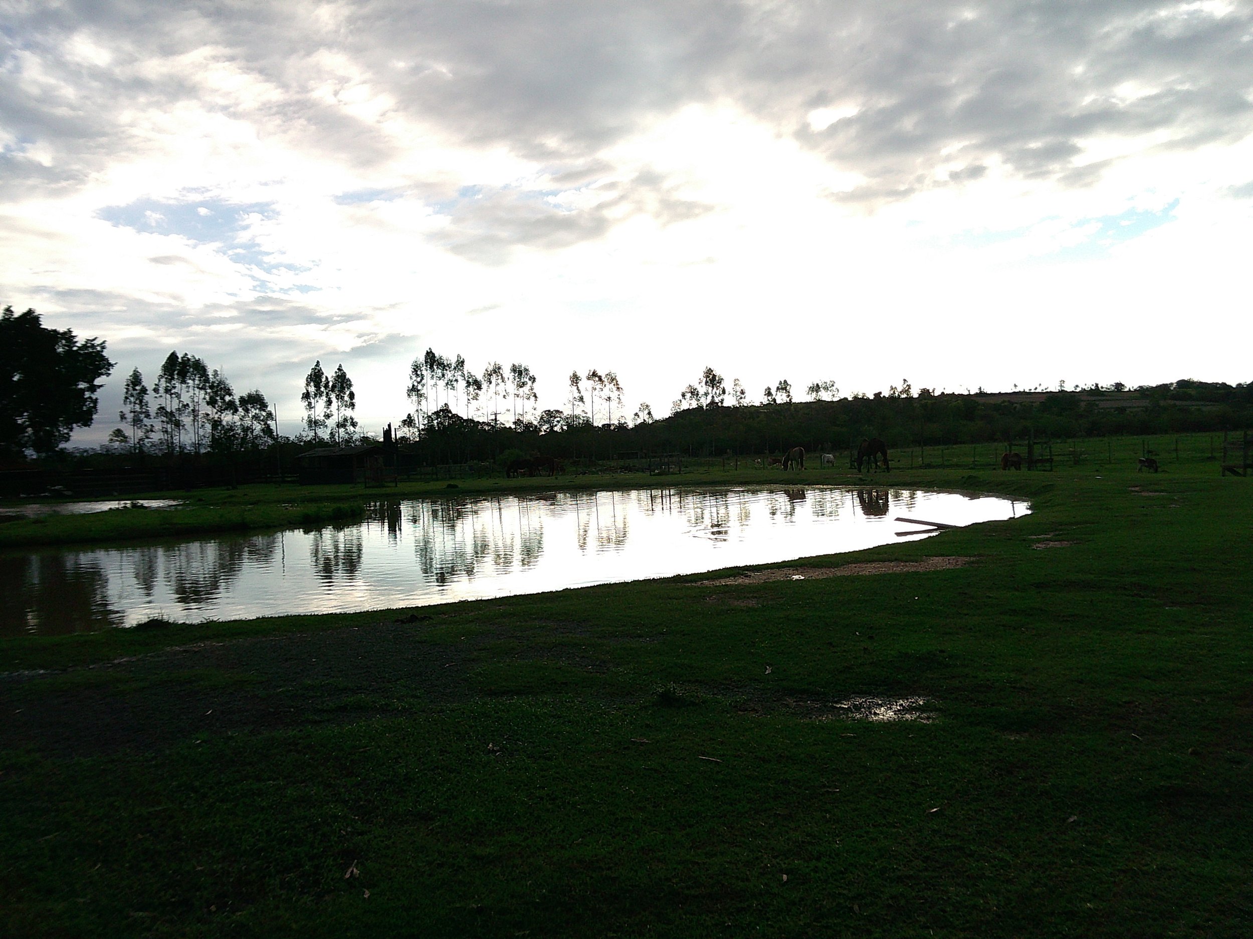 DSCF0243.JPG