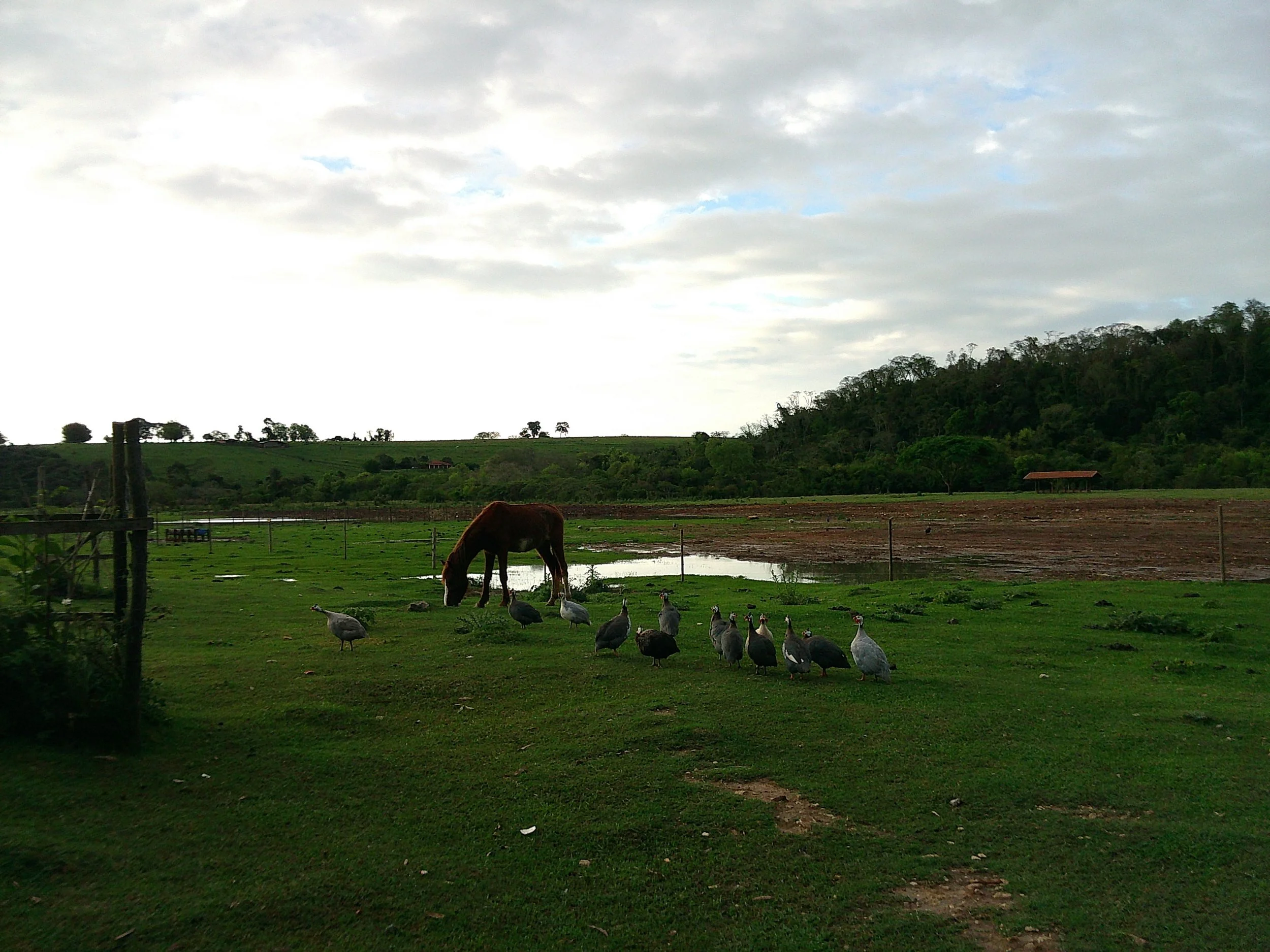 DSCF0244.JPG