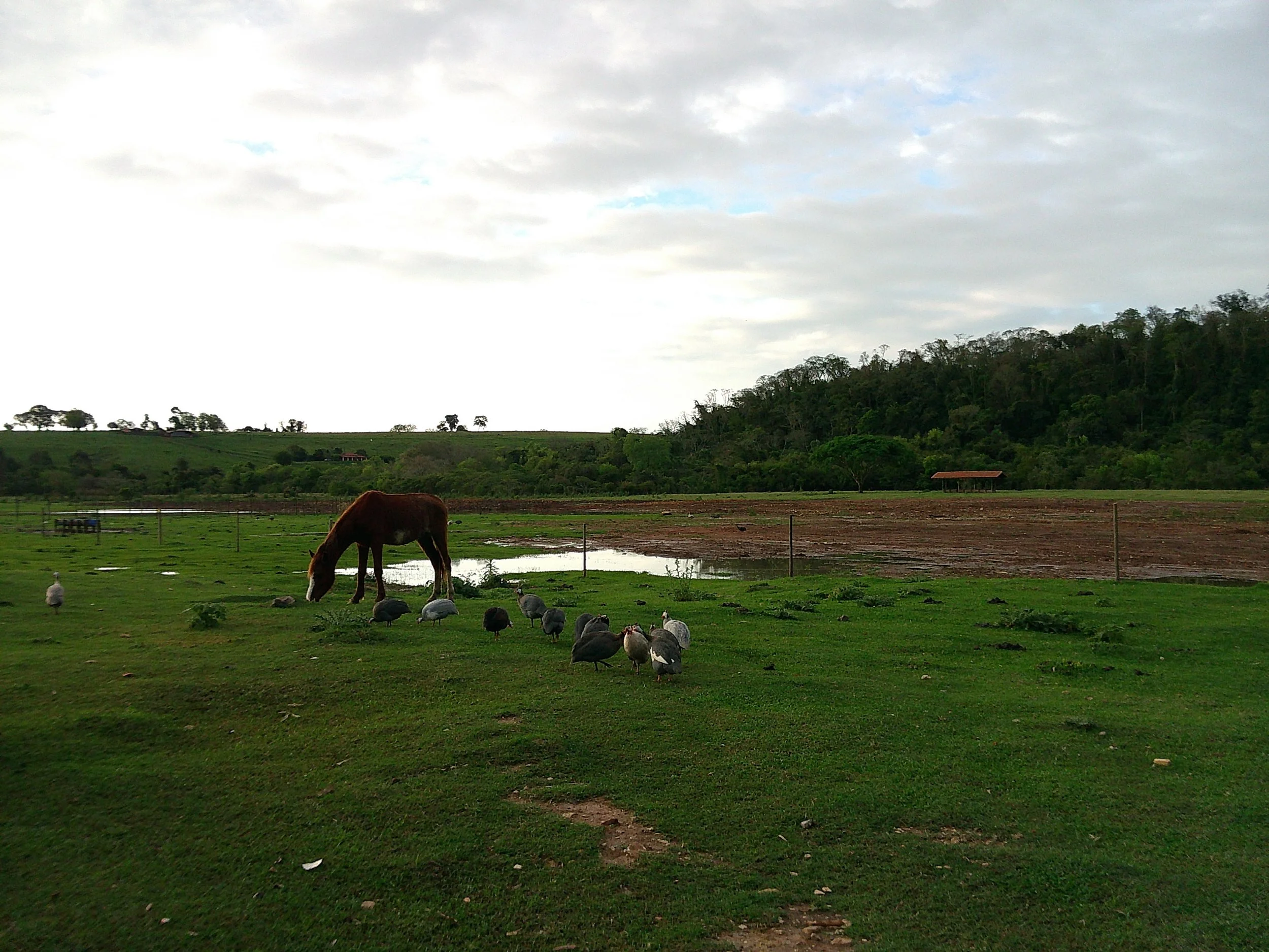 DSCF0245.JPG