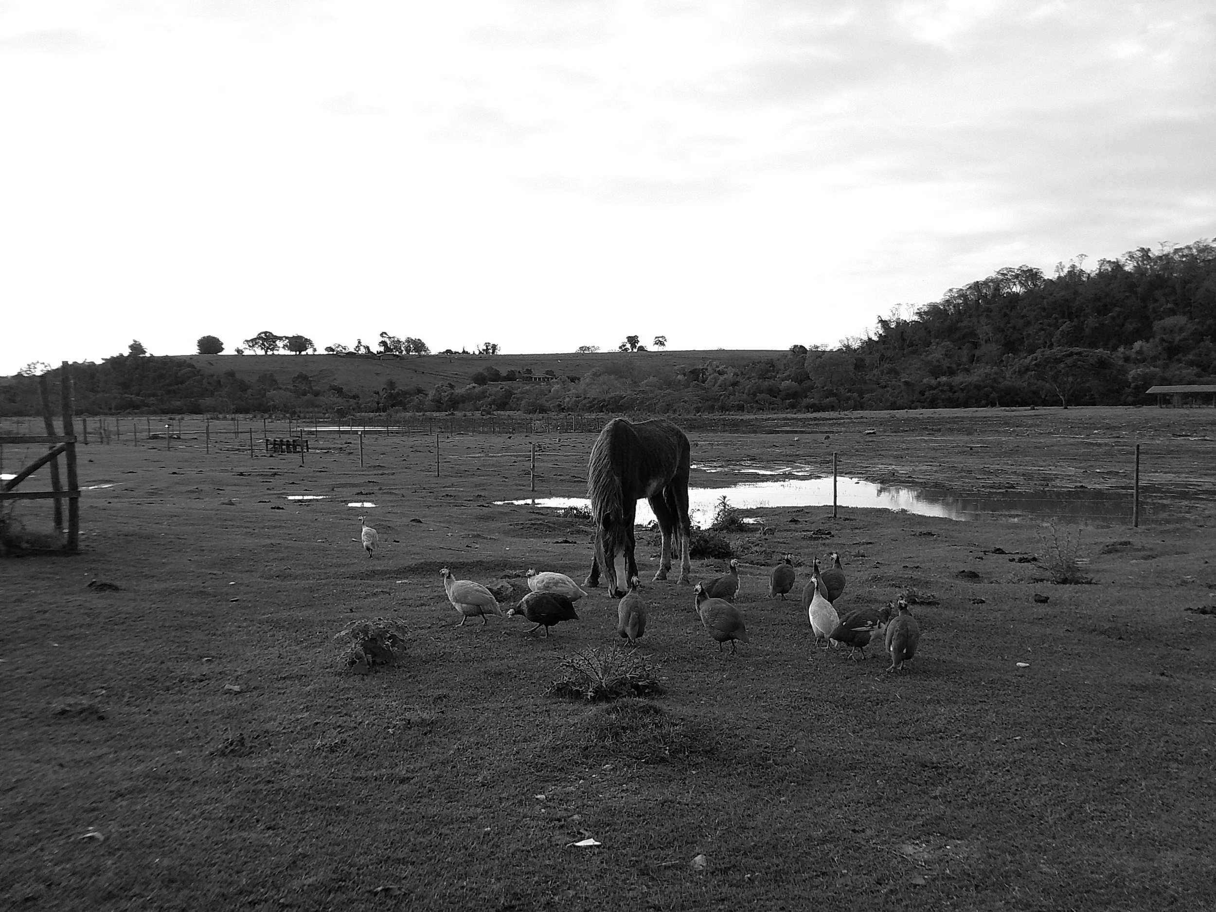 DSCF0246.JPG