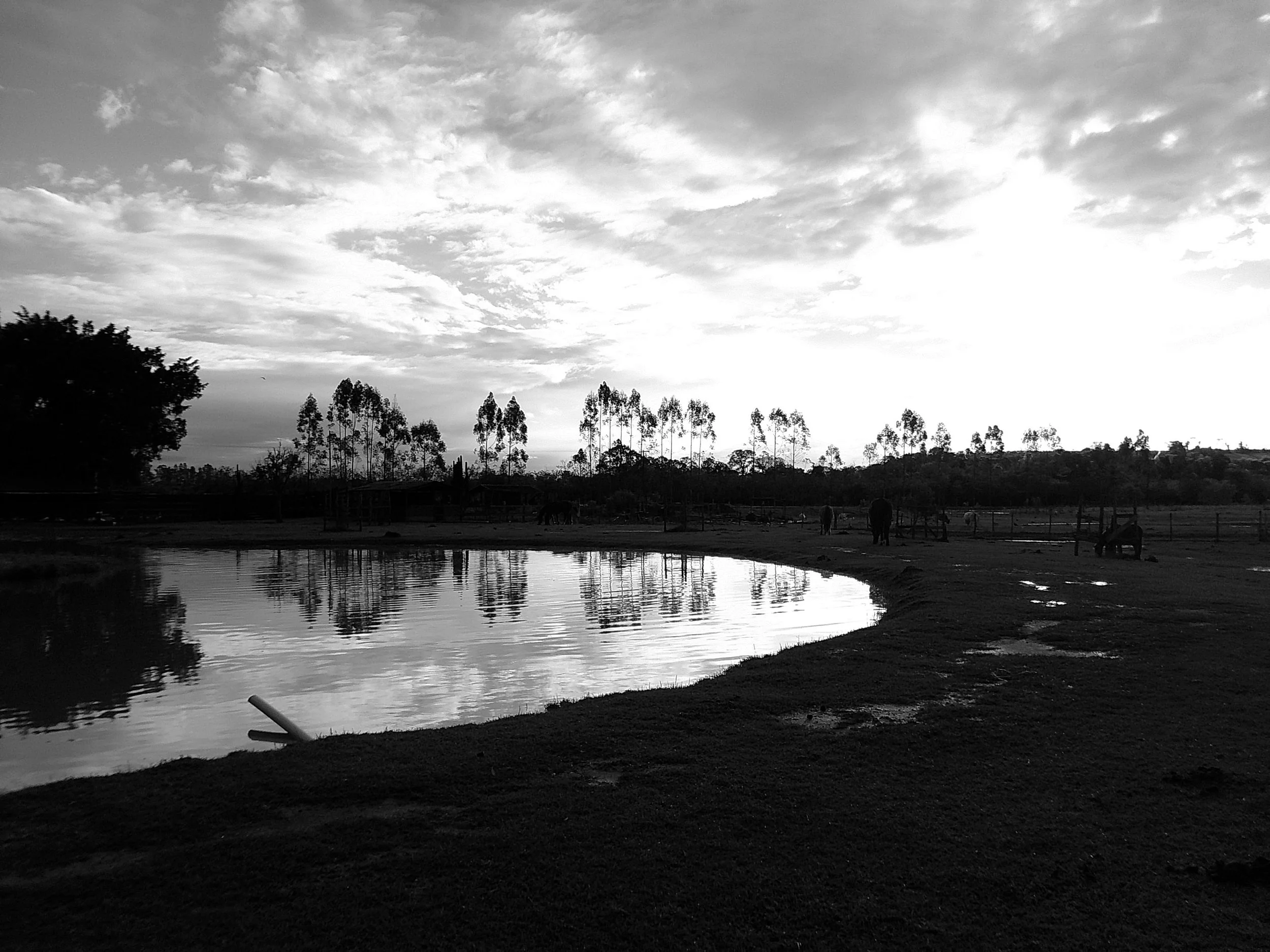 DSCF0247.JPG