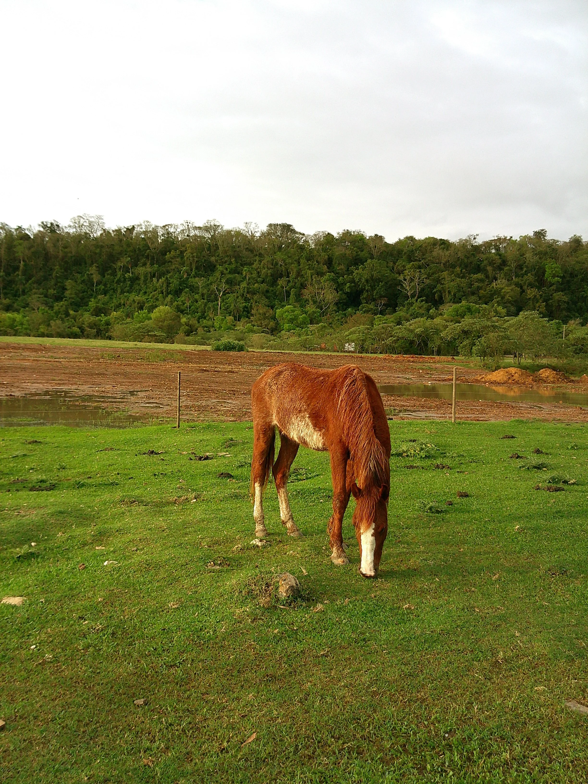 DSCF0248.JPG