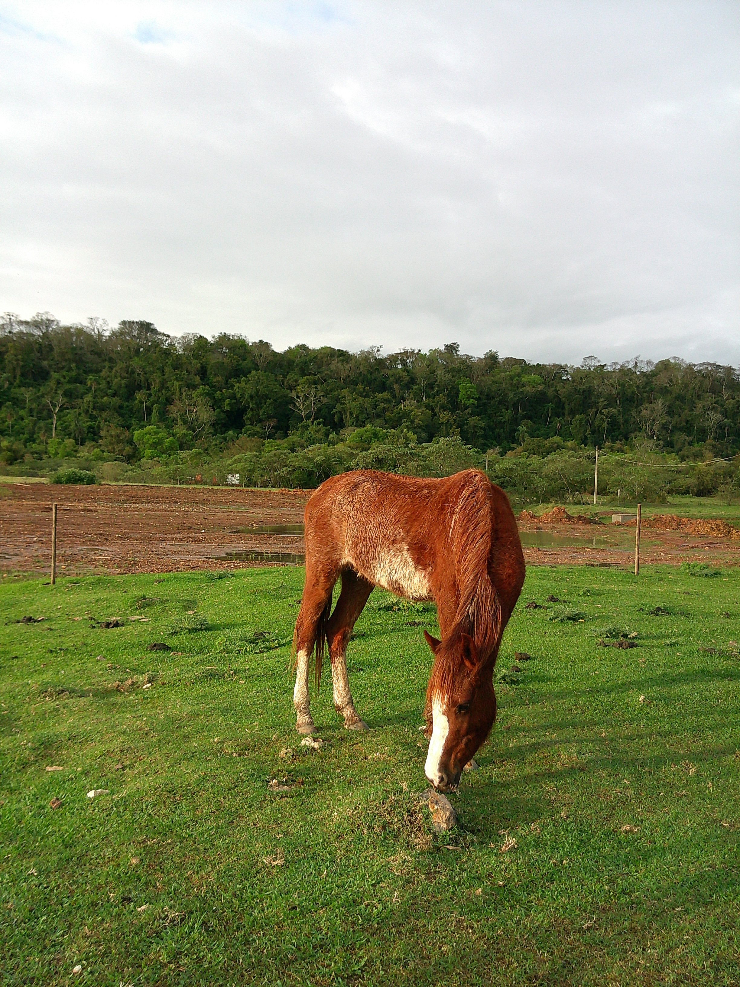 DSCF0249.JPG