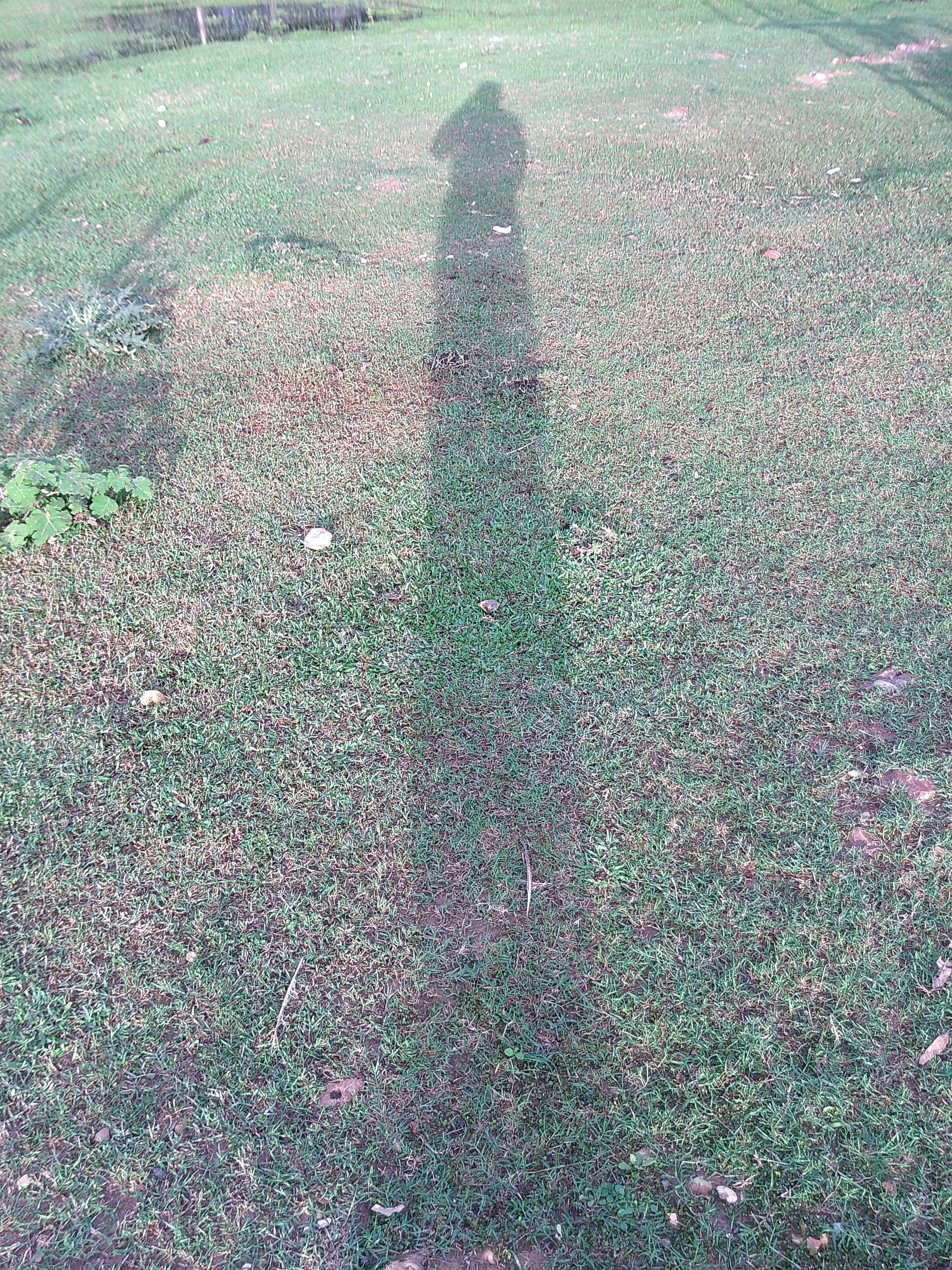 DSCF0250.JPG
